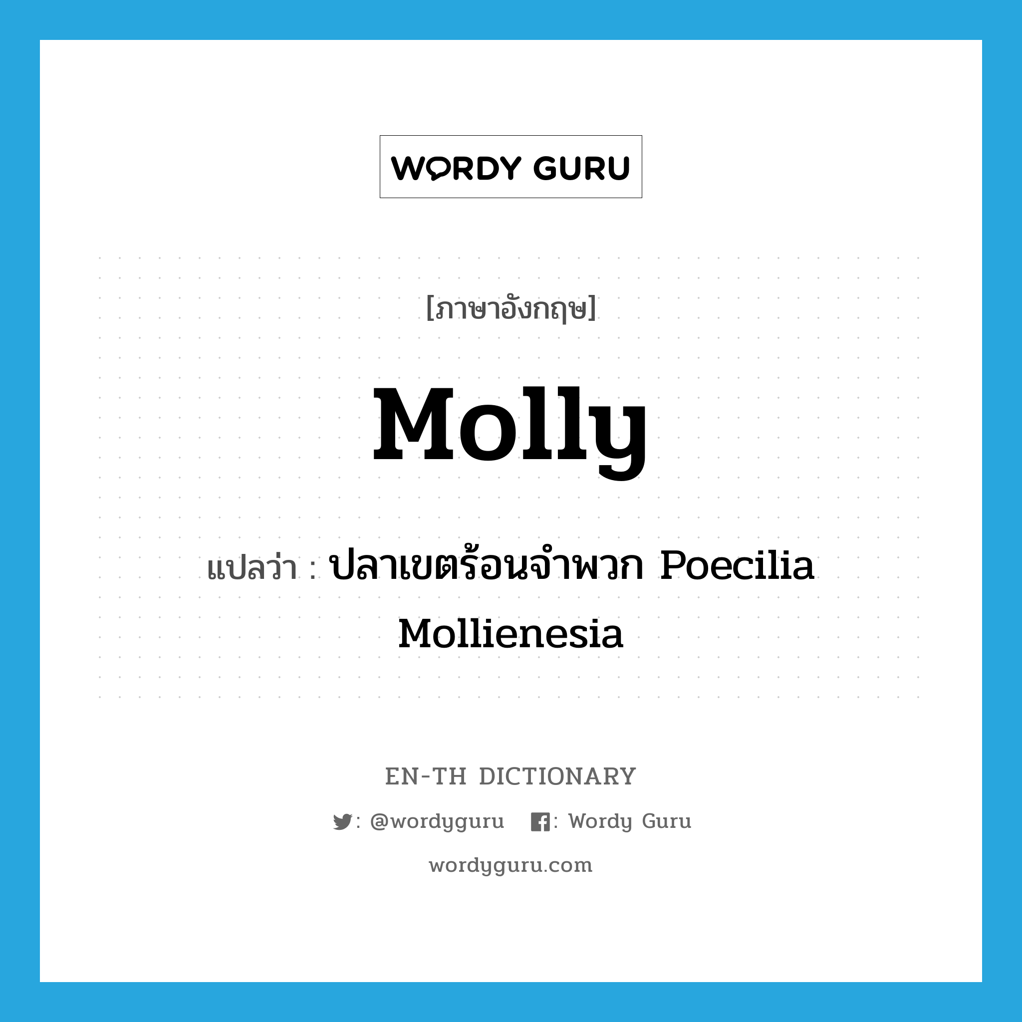 molly แปลว่า?, คำศัพท์ภาษาอังกฤษ molly แปลว่า ปลาเขตร้อนจำพวก Poecilia Mollienesia ประเภท N หมวด N