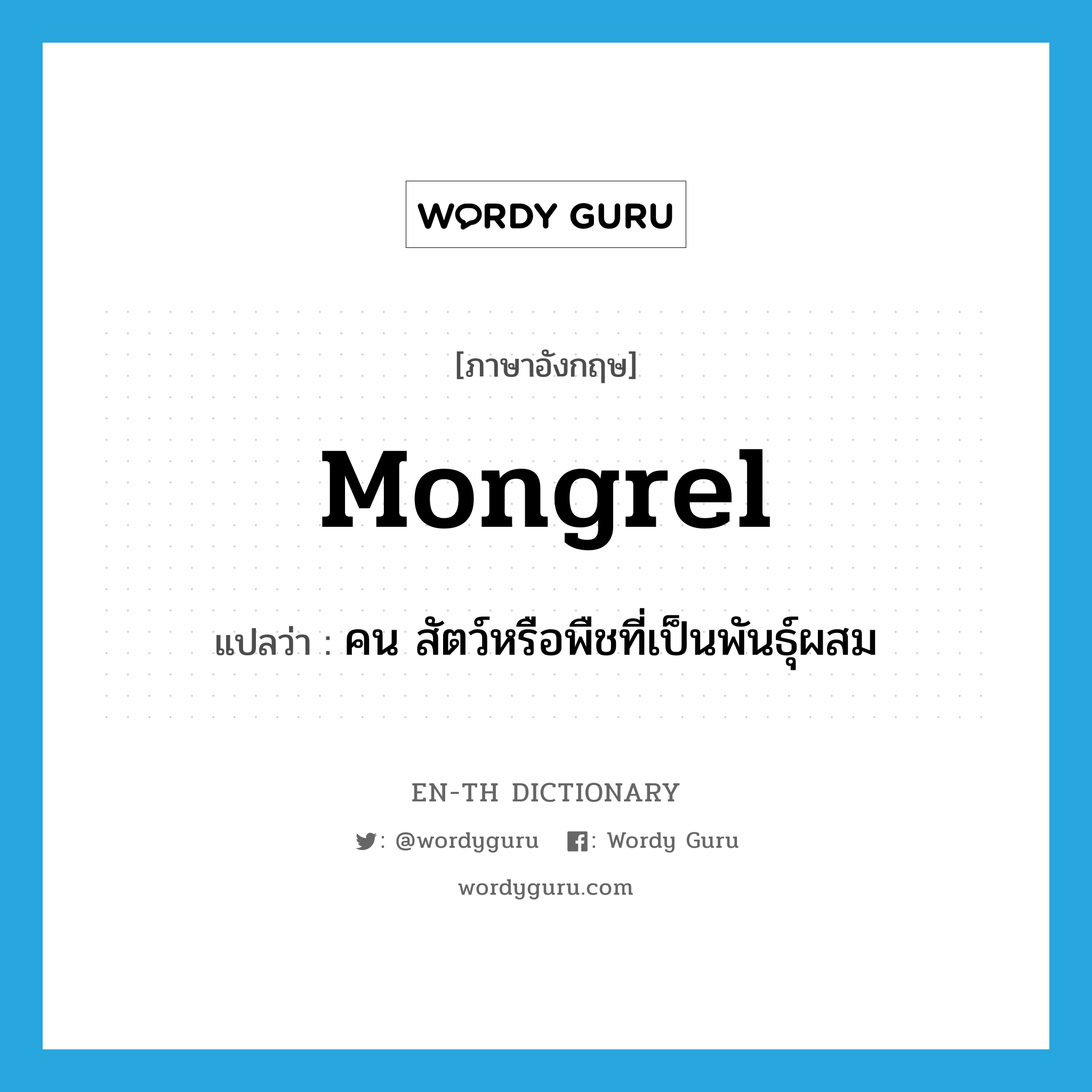 mongrel แปลว่า?, คำศัพท์ภาษาอังกฤษ mongrel แปลว่า คน สัตว์หรือพืชที่เป็นพันธุ์ผสม ประเภท N หมวด N