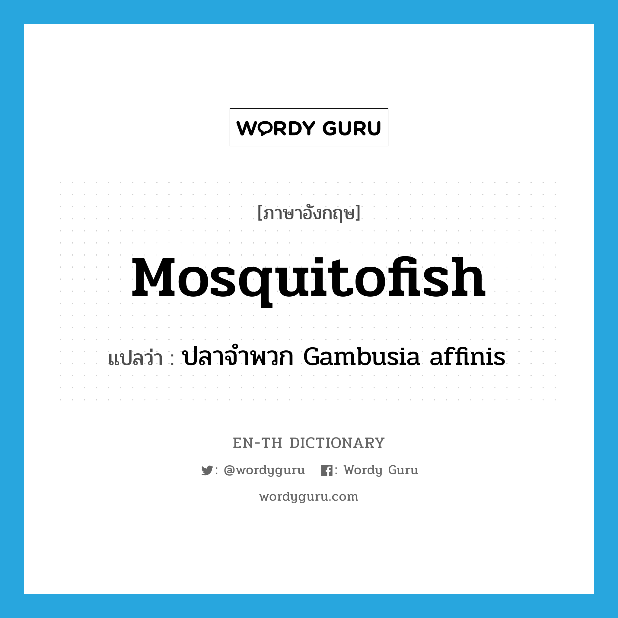 mosquitofish แปลว่า?, คำศัพท์ภาษาอังกฤษ mosquitofish แปลว่า ปลาจำพวก Gambusia affinis ประเภท N หมวด N