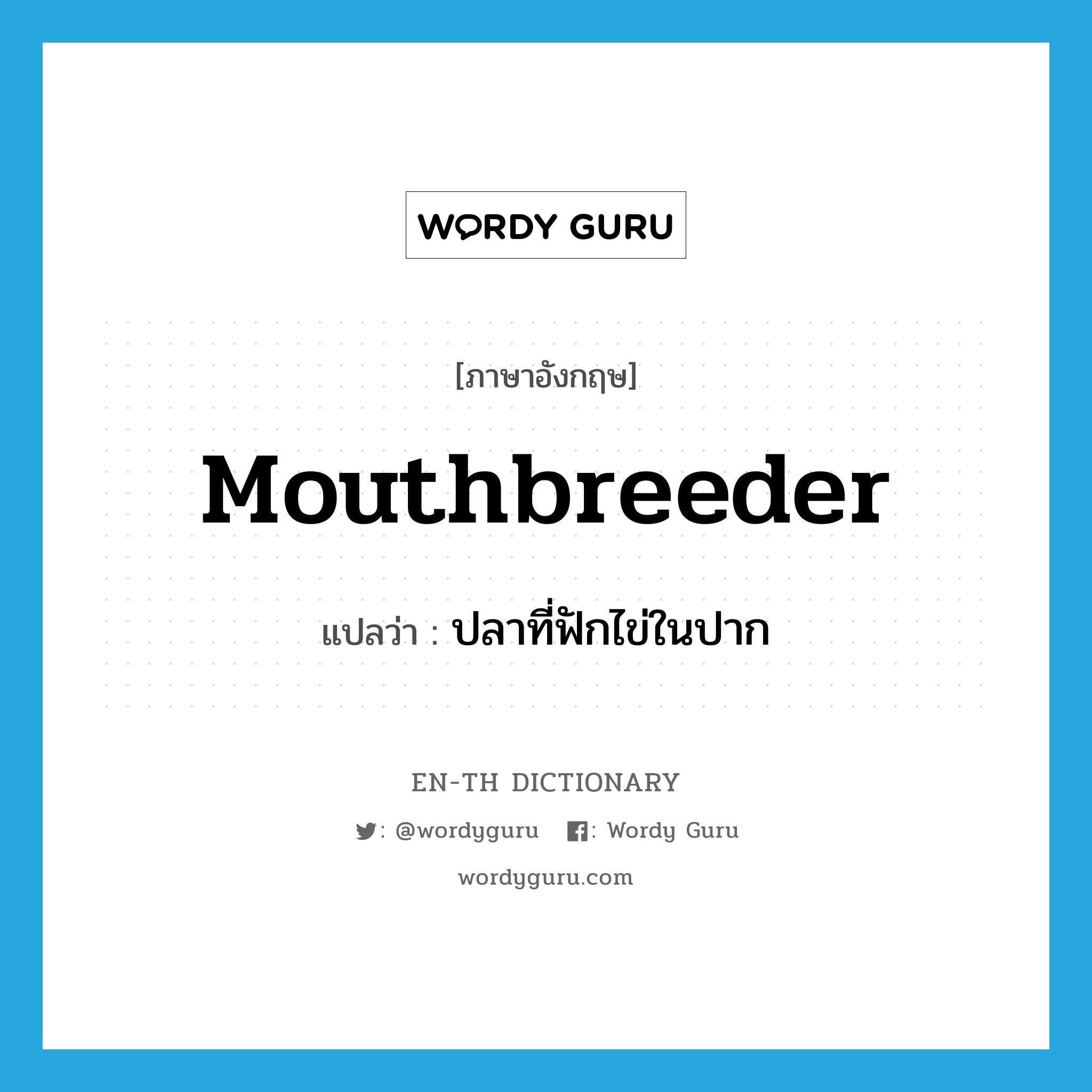 mouthbreeder แปลว่า?, คำศัพท์ภาษาอังกฤษ mouthbreeder แปลว่า ปลาที่ฟักไข่ในปาก ประเภท N หมวด N