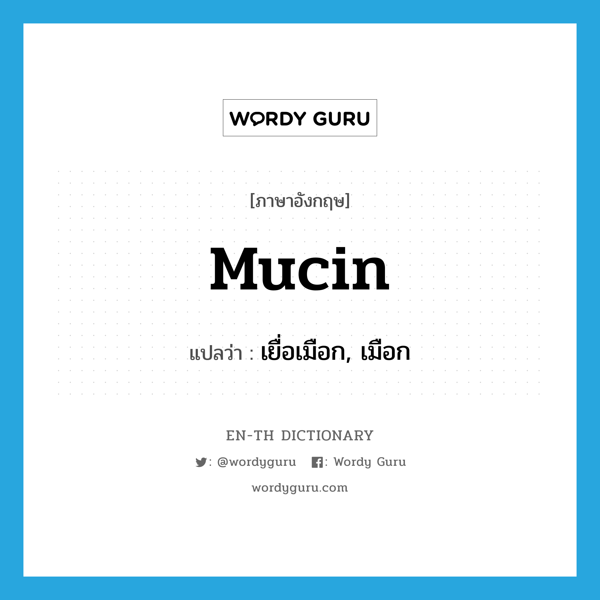 mucin แปลว่า?, คำศัพท์ภาษาอังกฤษ mucin แปลว่า เยื่อเมือก, เมือก ประเภท N หมวด N