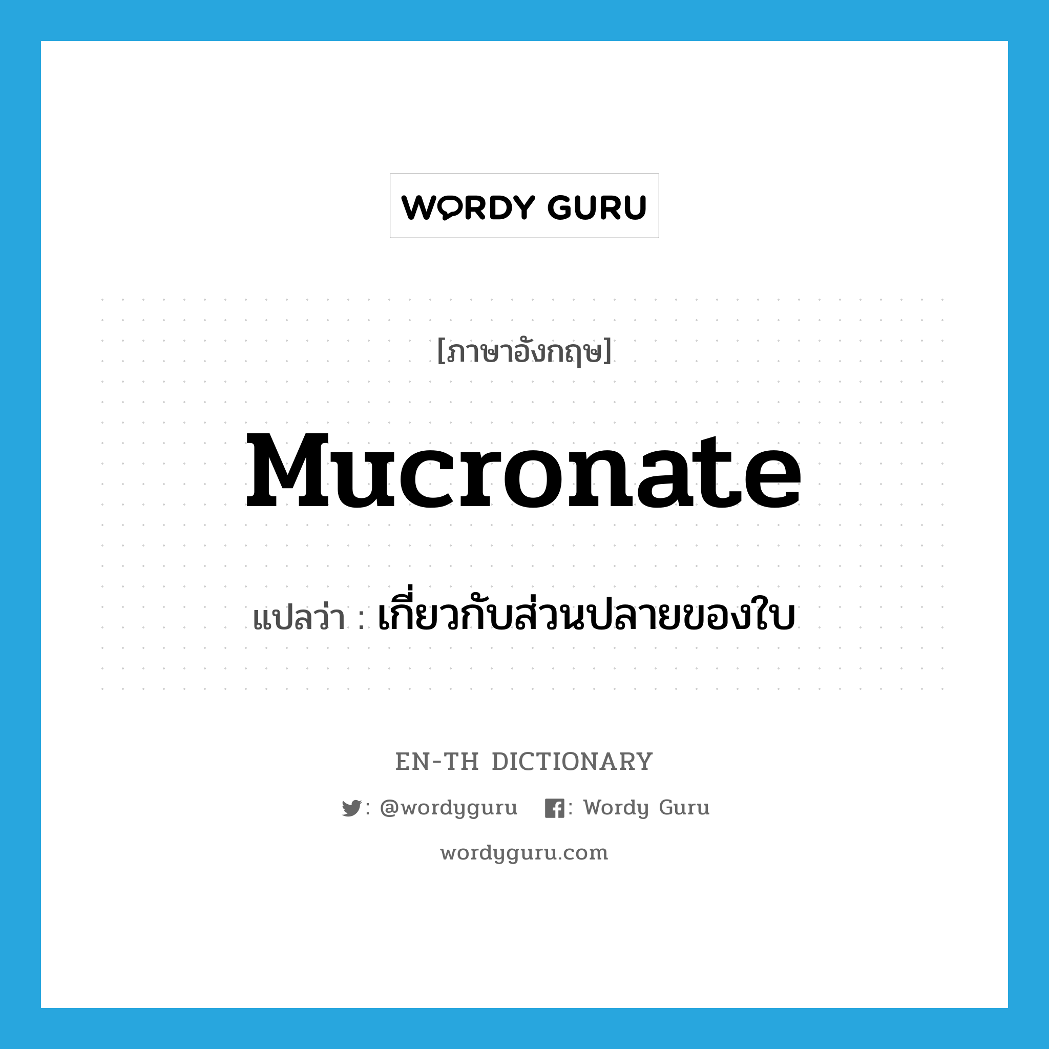 mucronate แปลว่า?, คำศัพท์ภาษาอังกฤษ mucronate แปลว่า เกี่ยวกับส่วนปลายของใบ ประเภท ADJ หมวด ADJ