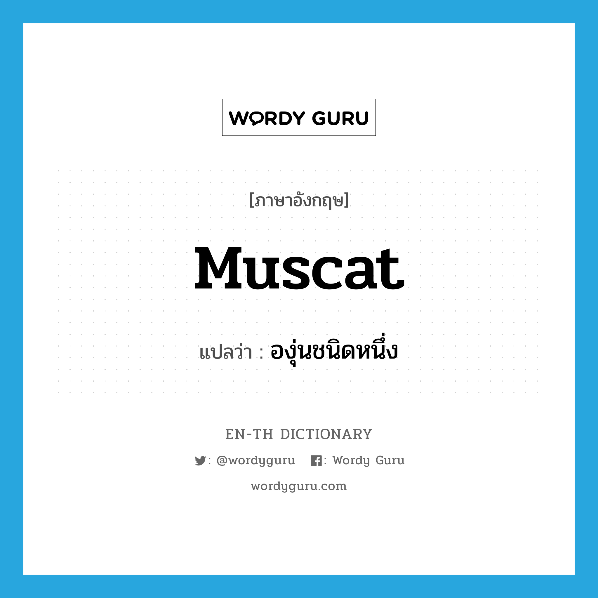 muscat แปลว่า?, คำศัพท์ภาษาอังกฤษ muscat แปลว่า องุ่นชนิดหนึ่ง ประเภท N หมวด N