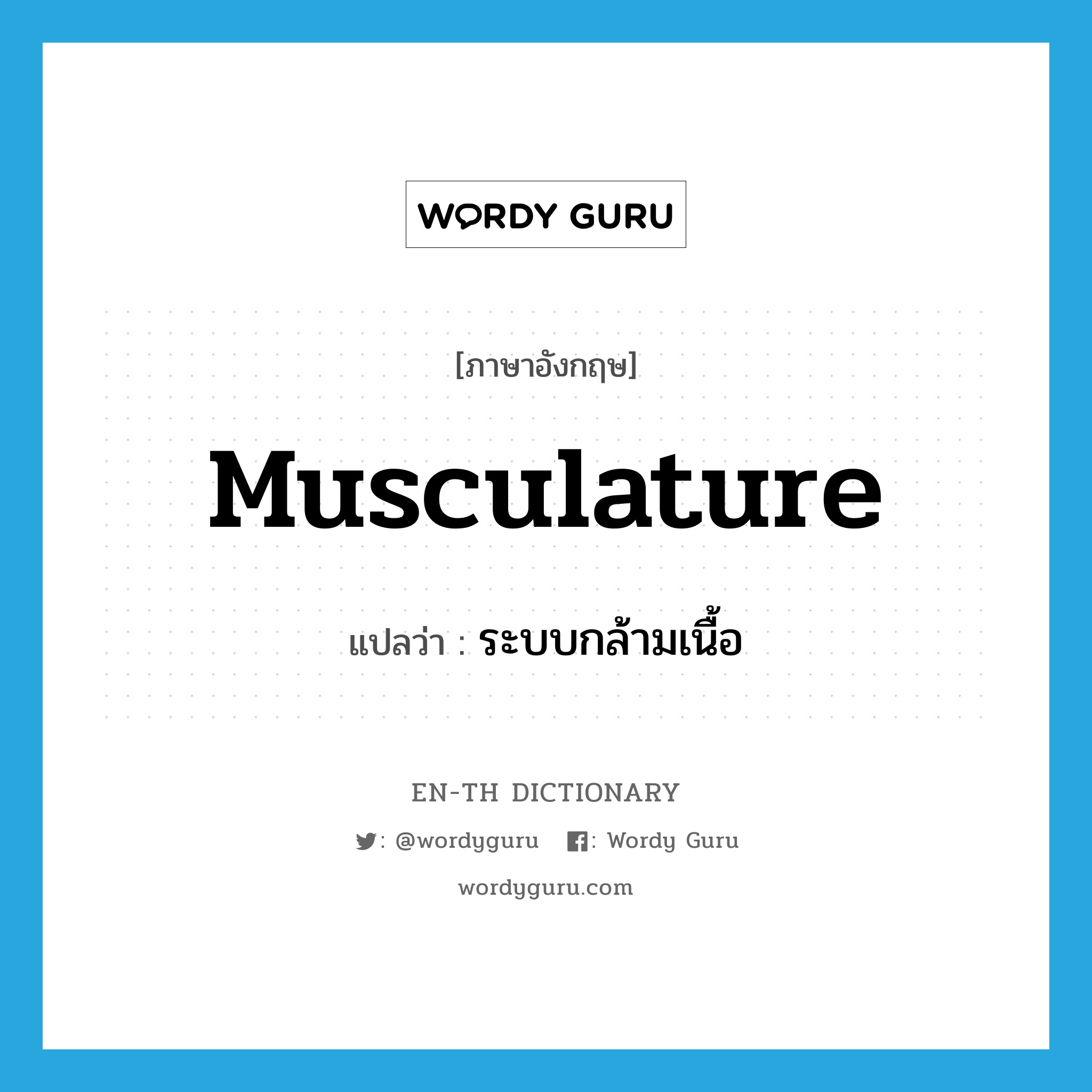 musculature แปลว่า?, คำศัพท์ภาษาอังกฤษ musculature แปลว่า ระบบกล้ามเนื้อ ประเภท N หมวด N