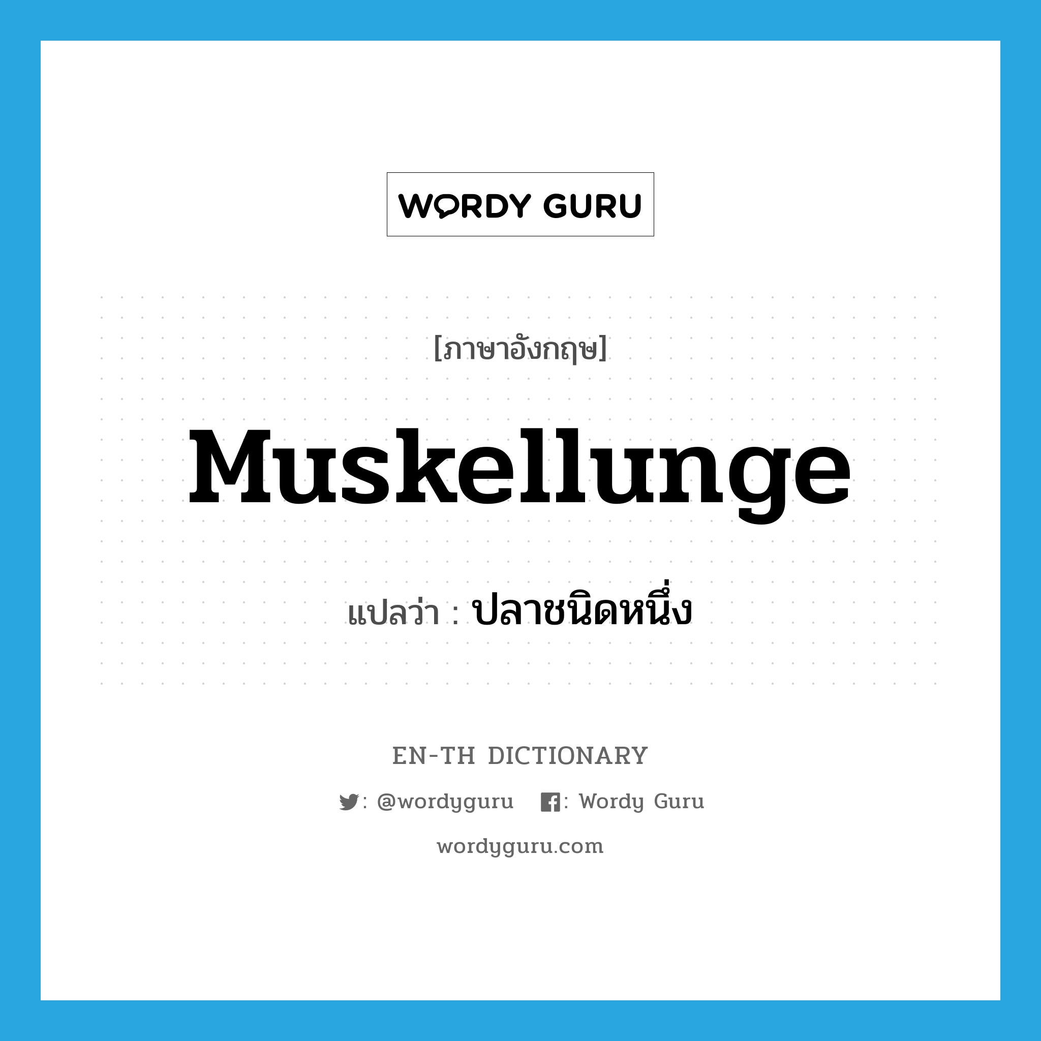 muskellunge แปลว่า?, คำศัพท์ภาษาอังกฤษ muskellunge แปลว่า ปลาชนิดหนึ่ง ประเภท N หมวด N