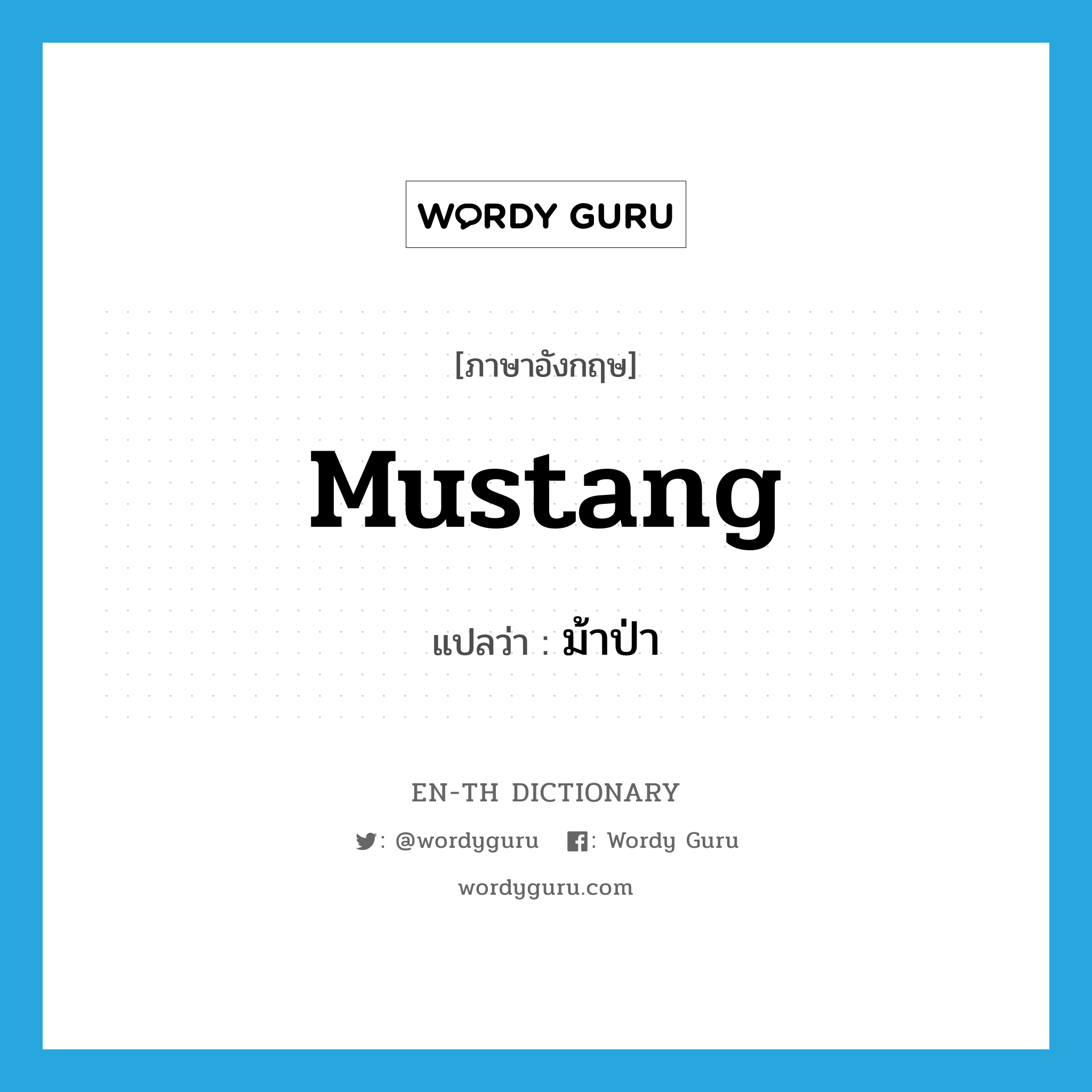 mustang แปลว่า?, คำศัพท์ภาษาอังกฤษ mustang แปลว่า ม้าป่า ประเภท N หมวด N