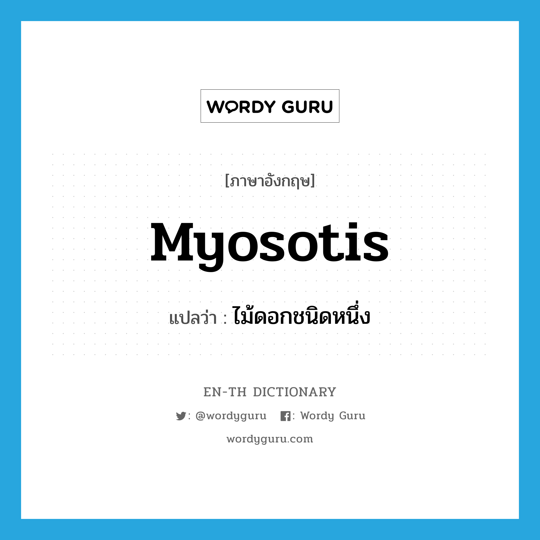 myosotis แปลว่า?, คำศัพท์ภาษาอังกฤษ myosotis แปลว่า ไม้ดอกชนิดหนึ่ง ประเภท N หมวด N