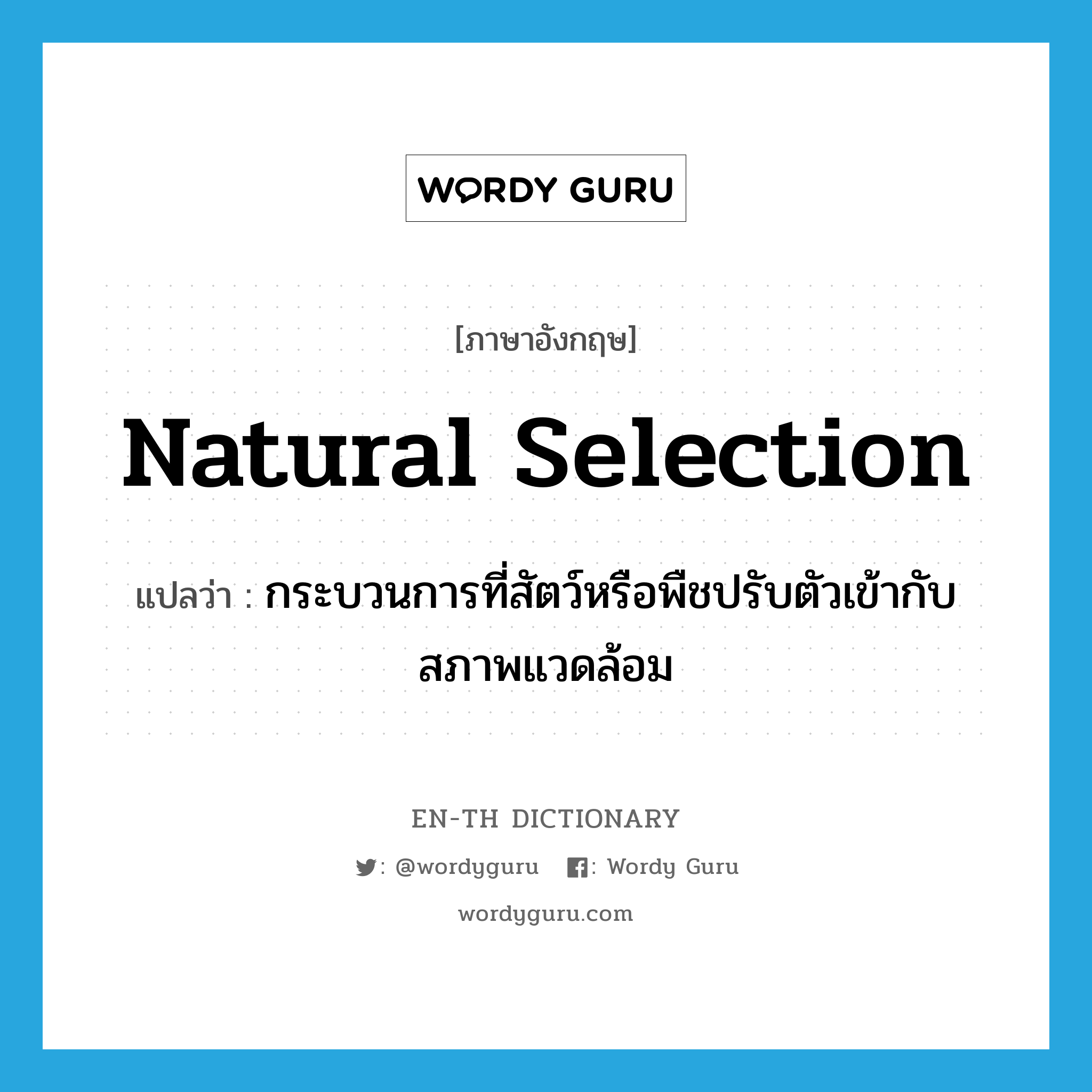 natural selection แปลว่า?, คำศัพท์ภาษาอังกฤษ natural selection แปลว่า กระบวนการที่สัตว์หรือพืชปรับตัวเข้ากับสภาพแวดล้อม ประเภท N หมวด N