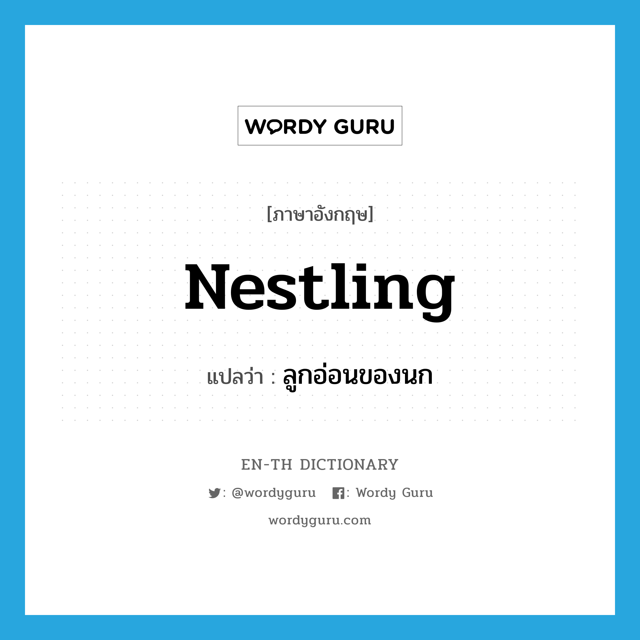 nestling แปลว่า?, คำศัพท์ภาษาอังกฤษ nestling แปลว่า ลูกอ่อนของนก ประเภท N หมวด N