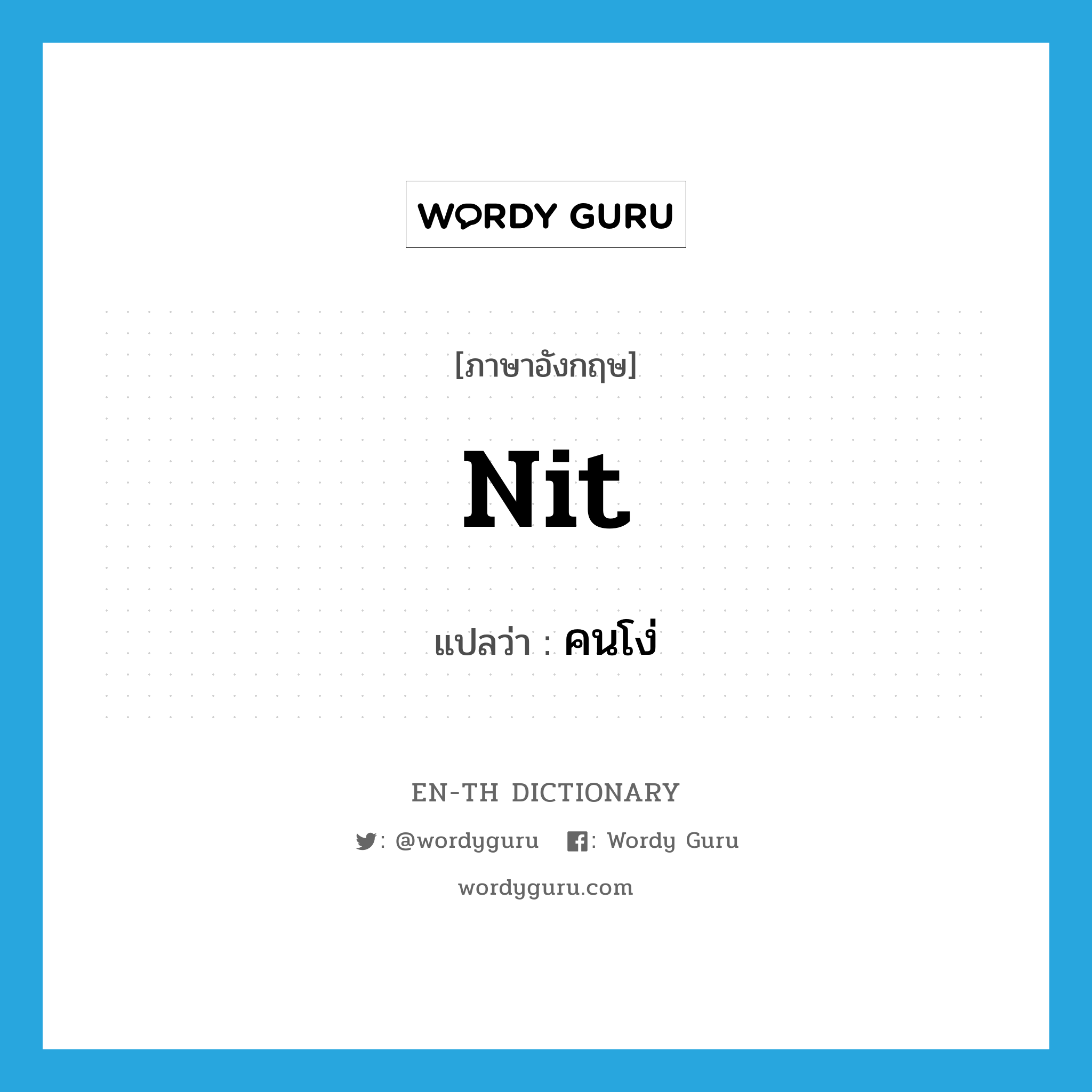 nit แปลว่า?, คำศัพท์ภาษาอังกฤษ nit แปลว่า คนโง่ ประเภท N หมวด N