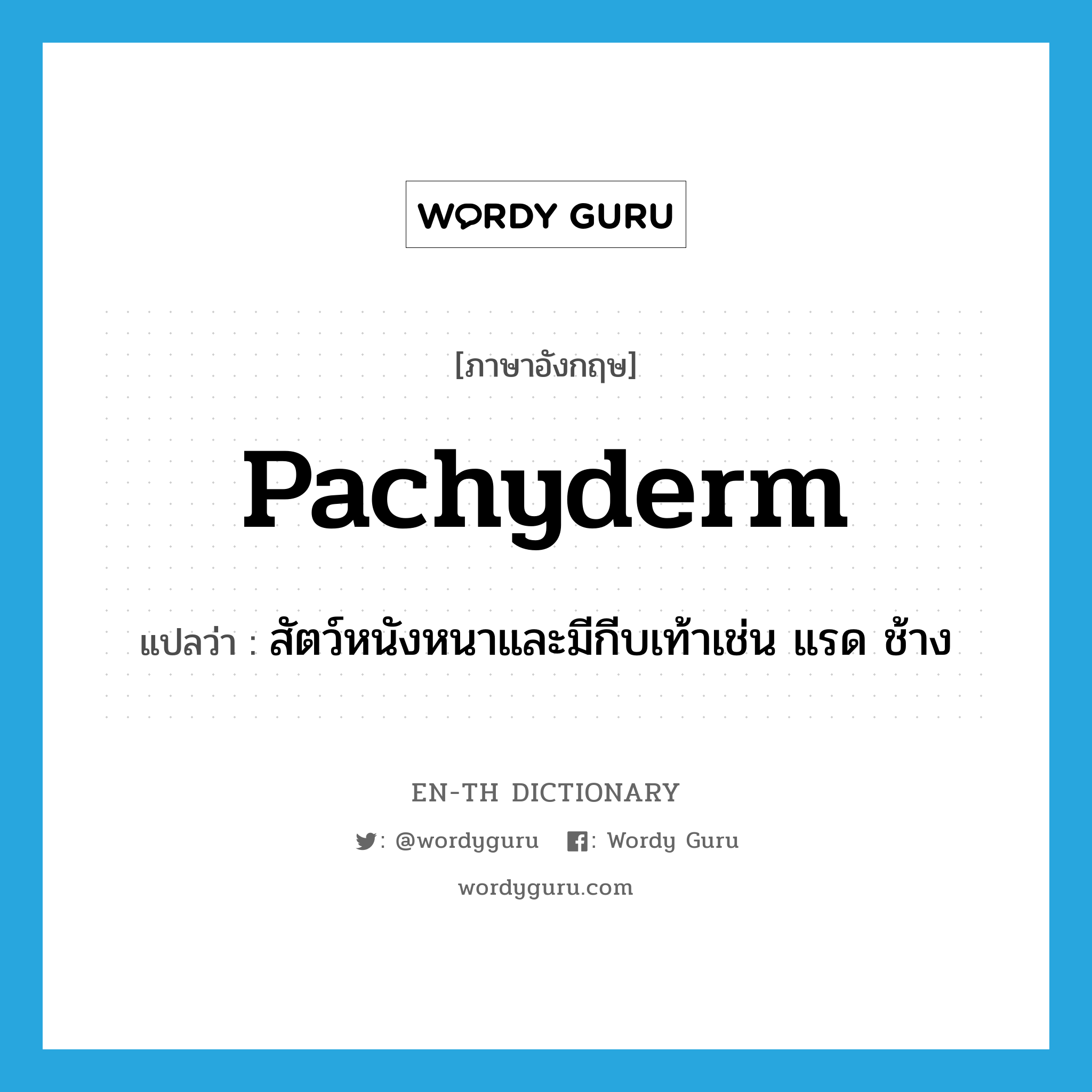 pachyderm แปลว่า?, คำศัพท์ภาษาอังกฤษ pachyderm แปลว่า สัตว์หนังหนาและมีกีบเท้าเช่น แรด ช้าง ประเภท N หมวด N