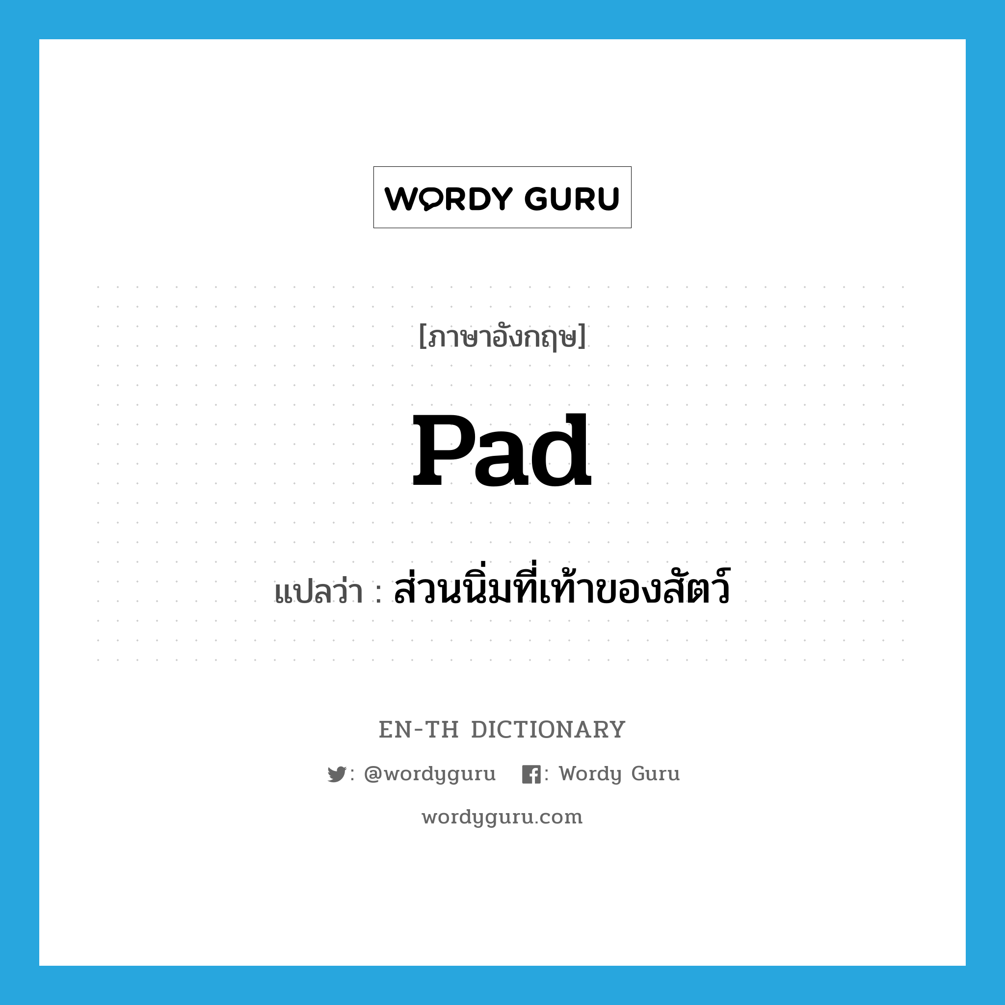 pad แปลว่า?, คำศัพท์ภาษาอังกฤษ pad แปลว่า ส่วนนิ่มที่เท้าของสัตว์ ประเภท N หมวด N