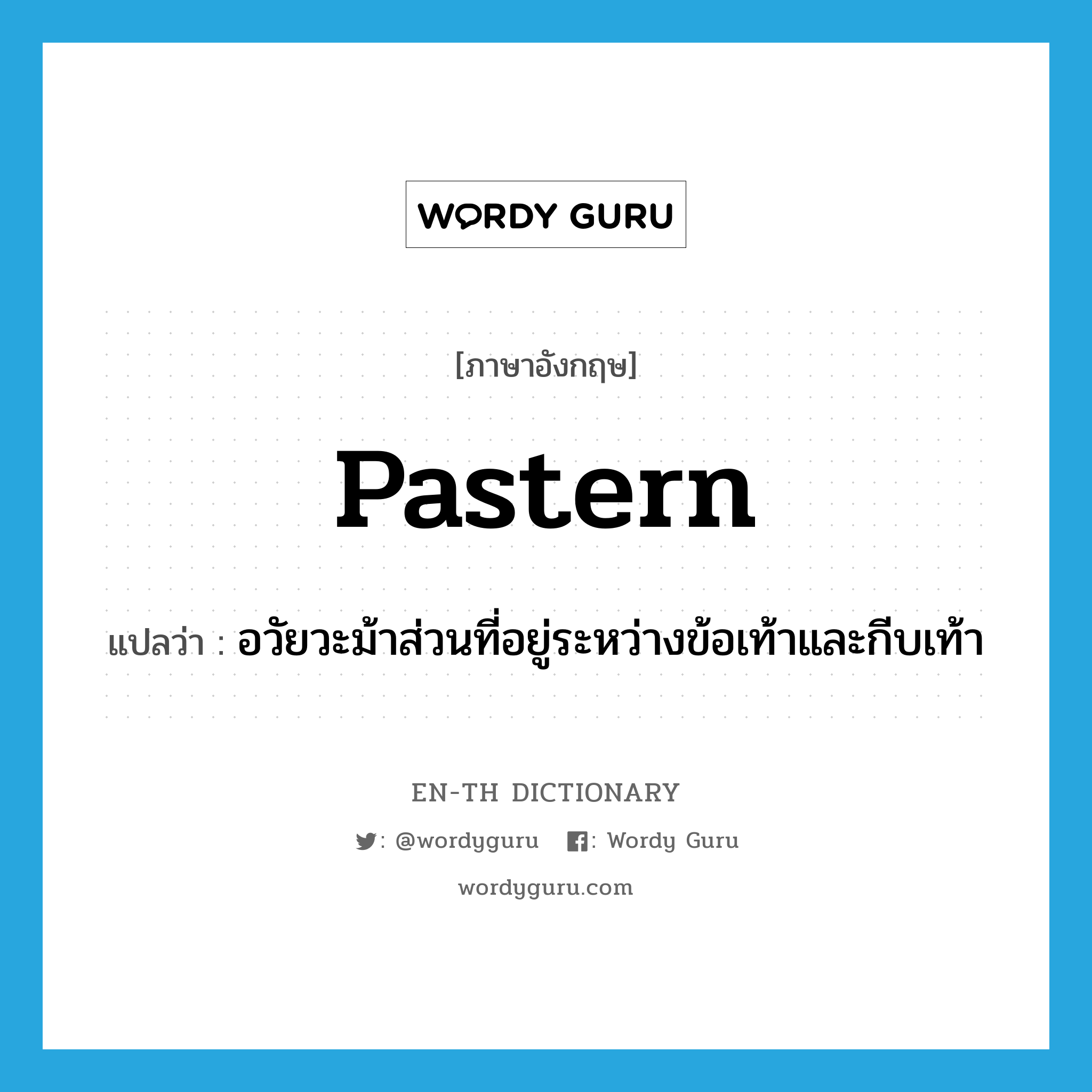 pastern แปลว่า?, คำศัพท์ภาษาอังกฤษ pastern แปลว่า อวัยวะม้าส่วนที่อยู่ระหว่างข้อเท้าและกีบเท้า ประเภท N หมวด N