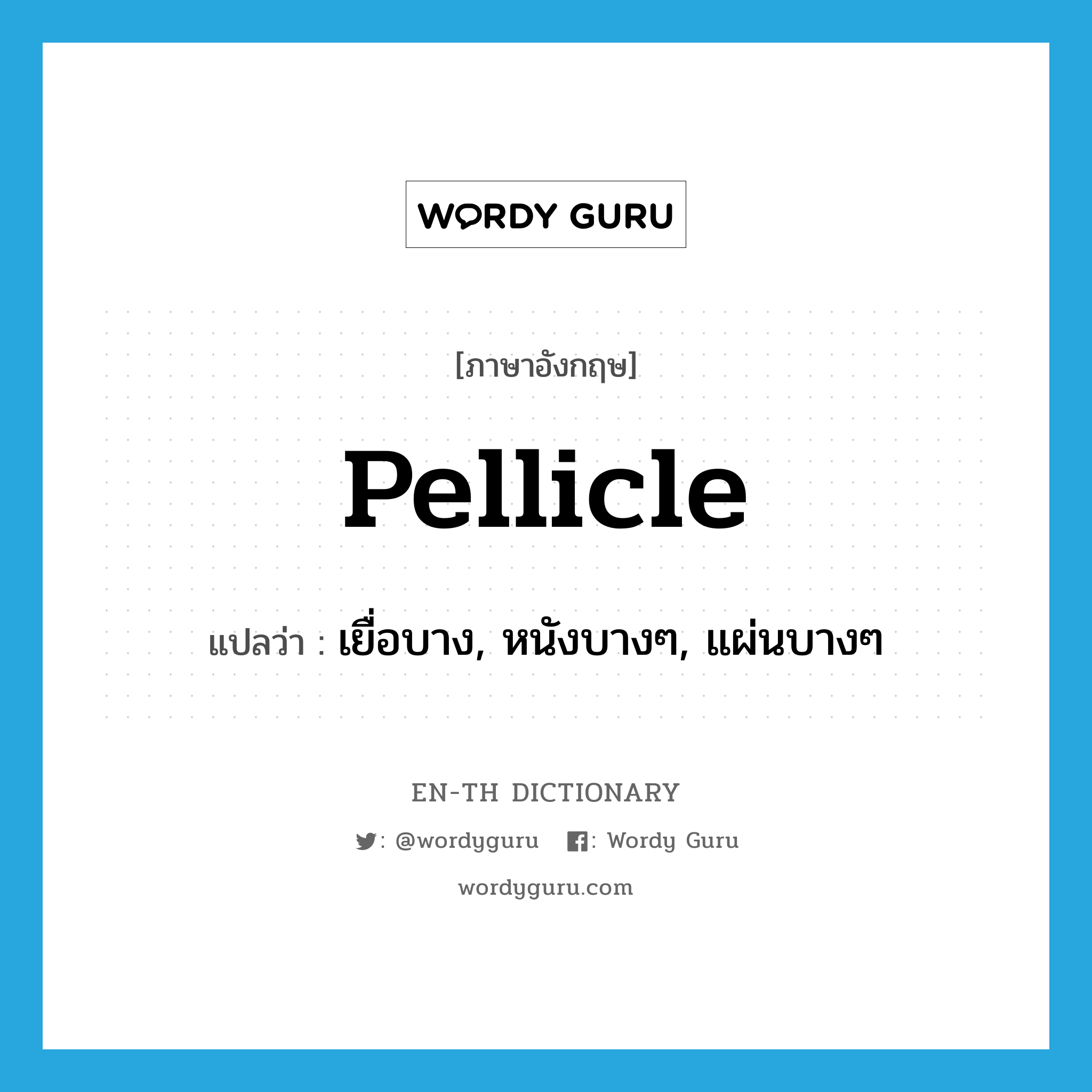 pellicle แปลว่า?, คำศัพท์ภาษาอังกฤษ pellicle แปลว่า เยื่อบาง, หนังบางๆ, แผ่นบางๆ ประเภท N หมวด N