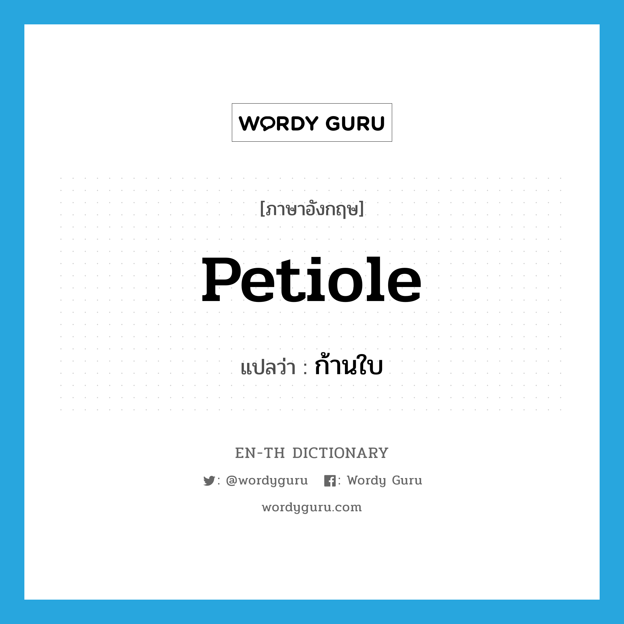 petiole แปลว่า?, คำศัพท์ภาษาอังกฤษ petiole แปลว่า ก้านใบ ประเภท N หมวด N