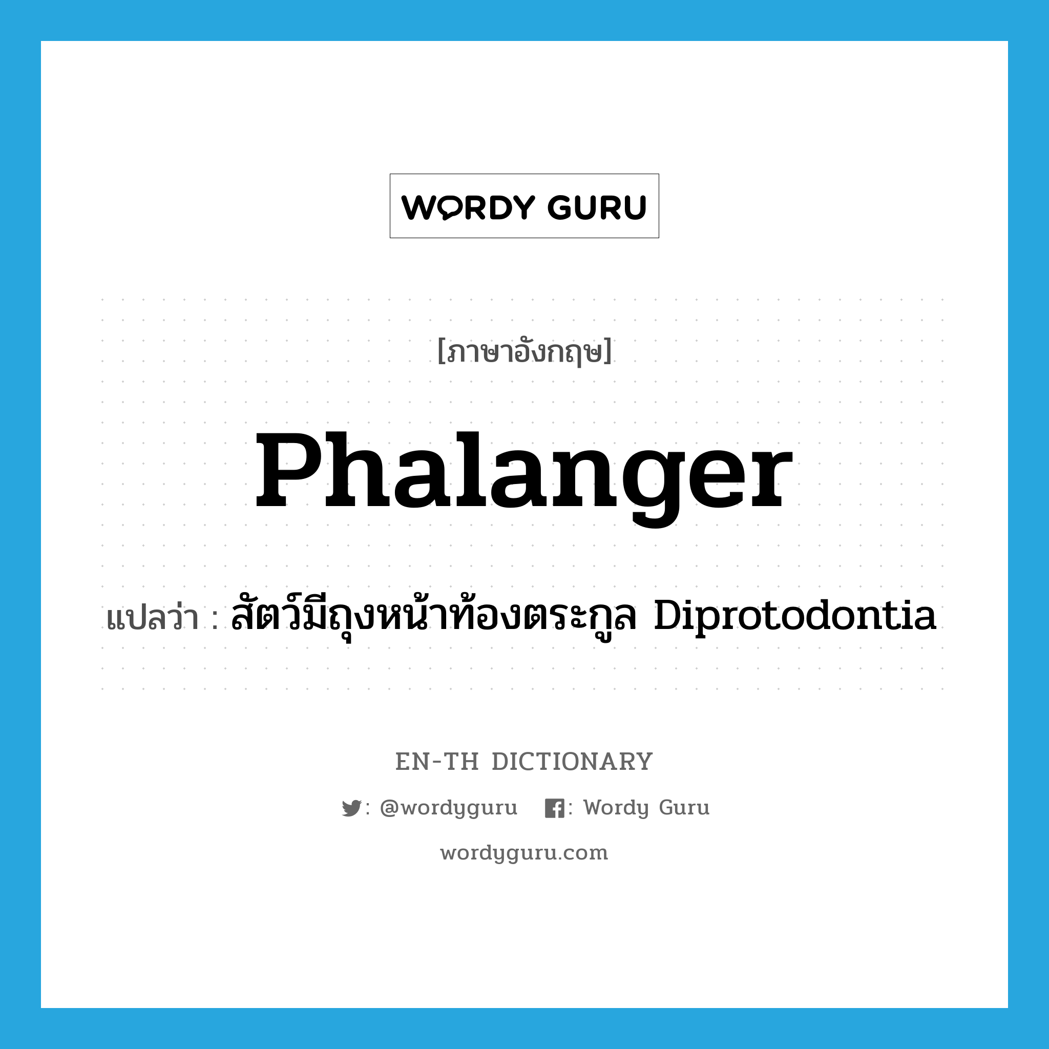 phalanger แปลว่า?, คำศัพท์ภาษาอังกฤษ phalanger แปลว่า สัตว์มีถุงหน้าท้องตระกูล Diprotodontia ประเภท N หมวด N