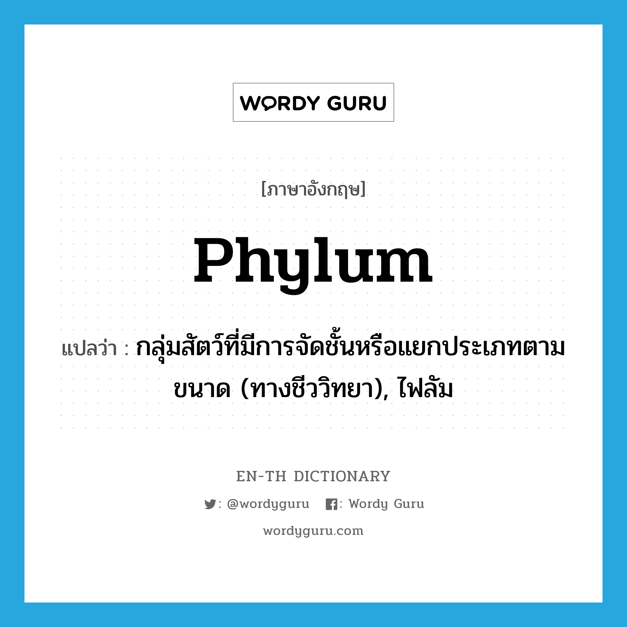 phylum แปลว่า?, คำศัพท์ภาษาอังกฤษ phylum แปลว่า กลุ่มสัตว์ที่มีการจัดชั้นหรือแยกประเภทตามขนาด (ทางชีววิทยา), ไฟลัม ประเภท N หมวด N