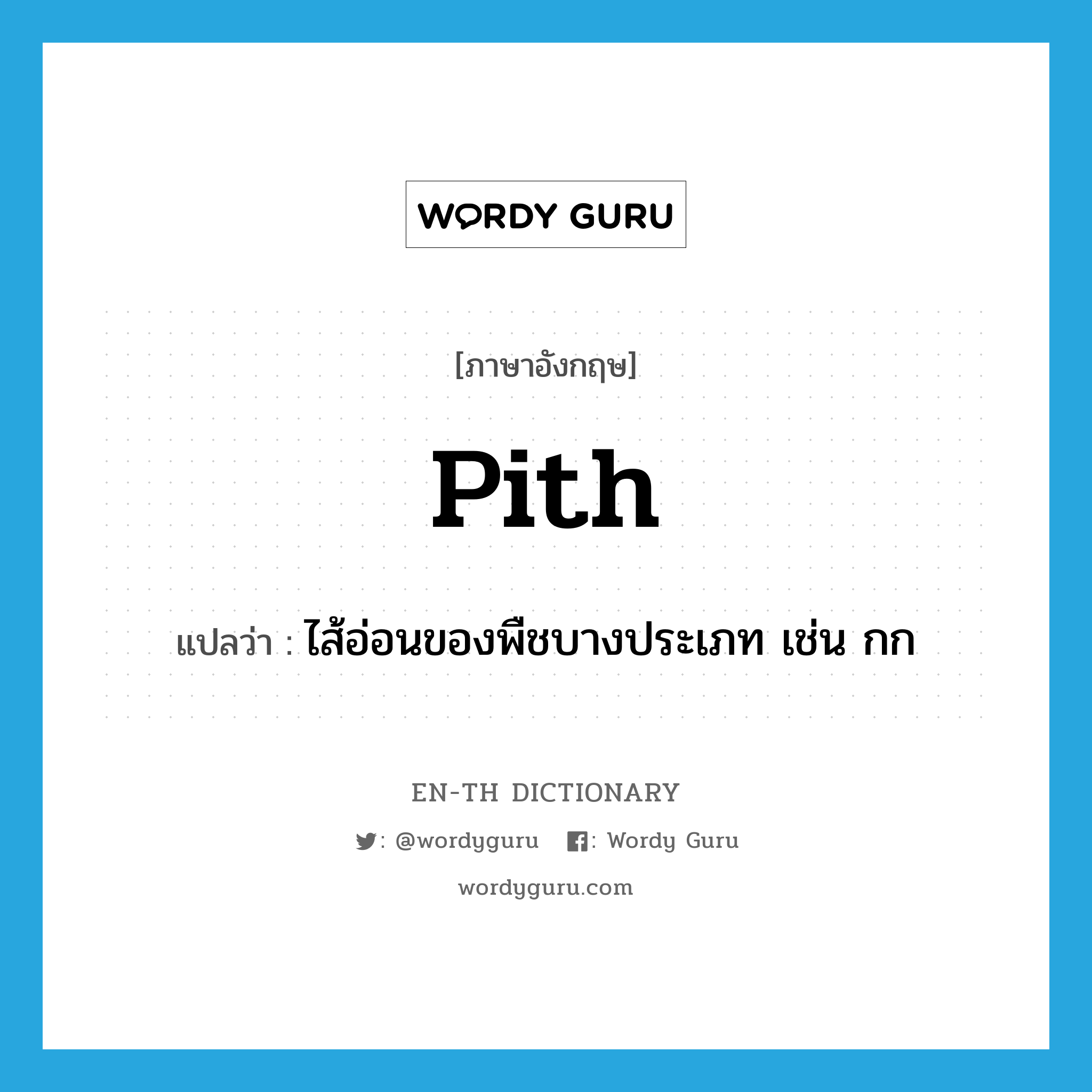 pith แปลว่า?, คำศัพท์ภาษาอังกฤษ pith แปลว่า ไส้อ่อนของพืชบางประเภท เช่น กก ประเภท N หมวด N