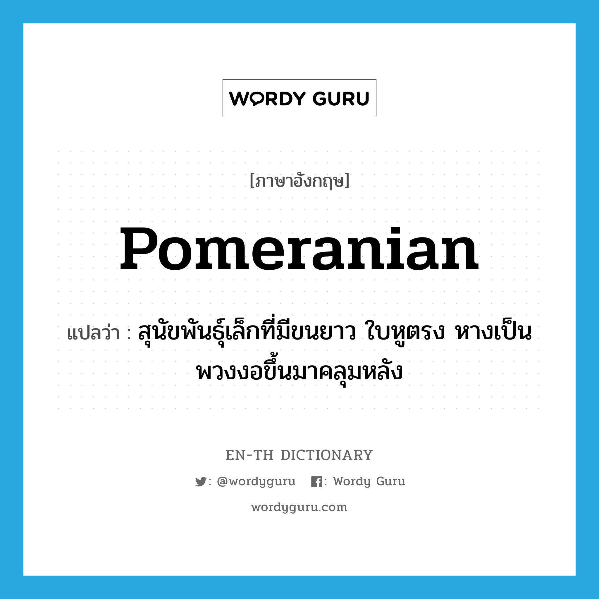 Pomeranian แปลว่า?, คำศัพท์ภาษาอังกฤษ Pomeranian แปลว่า สุนัขพันธุ์เล็กที่มีขนยาว ใบหูตรง หางเป็นพวงงอขึ้นมาคลุมหลัง ประเภท N หมวด N