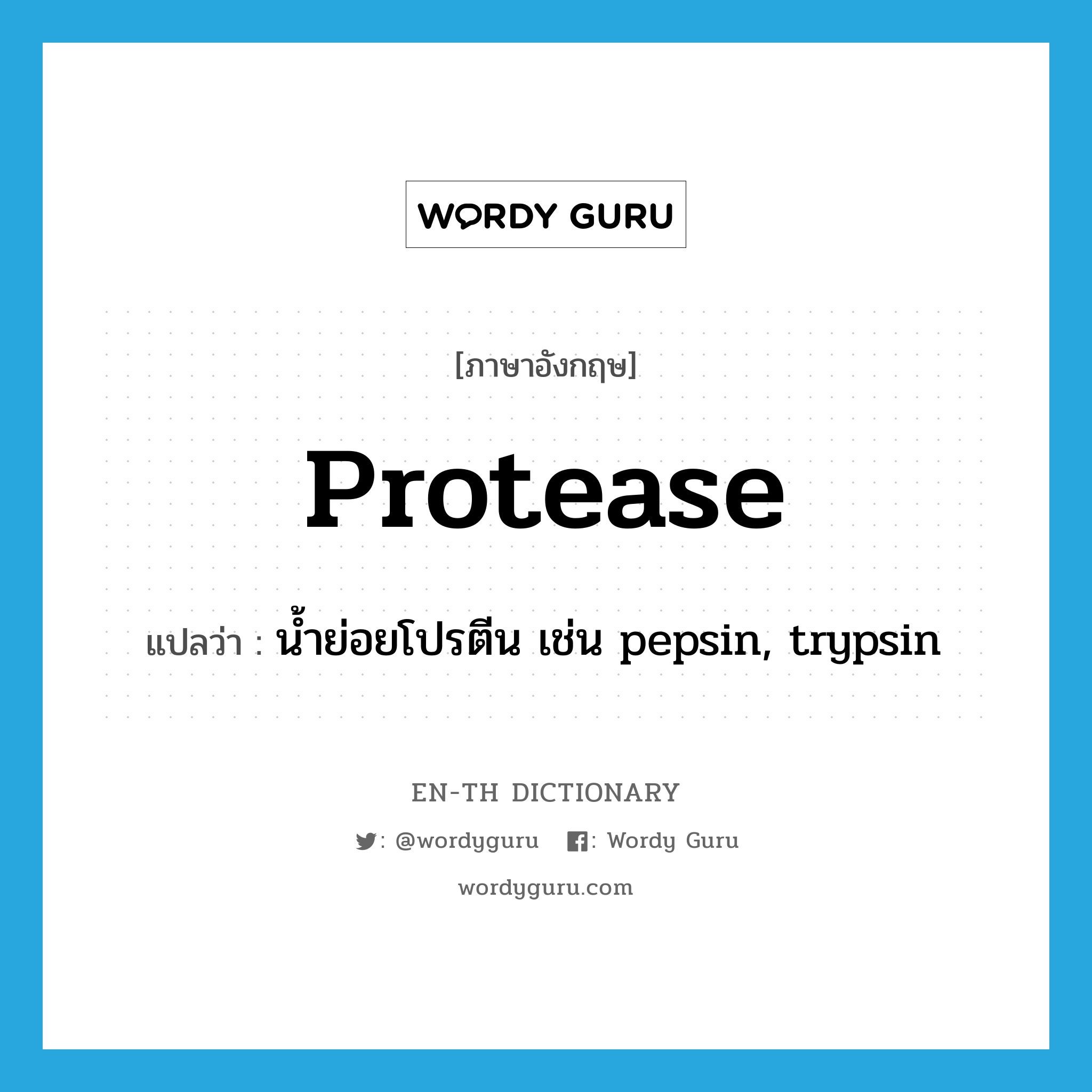 protease แปลว่า?, คำศัพท์ภาษาอังกฤษ protease แปลว่า น้ำย่อยโปรตีน เช่น pepsin, trypsin ประเภท N หมวด N