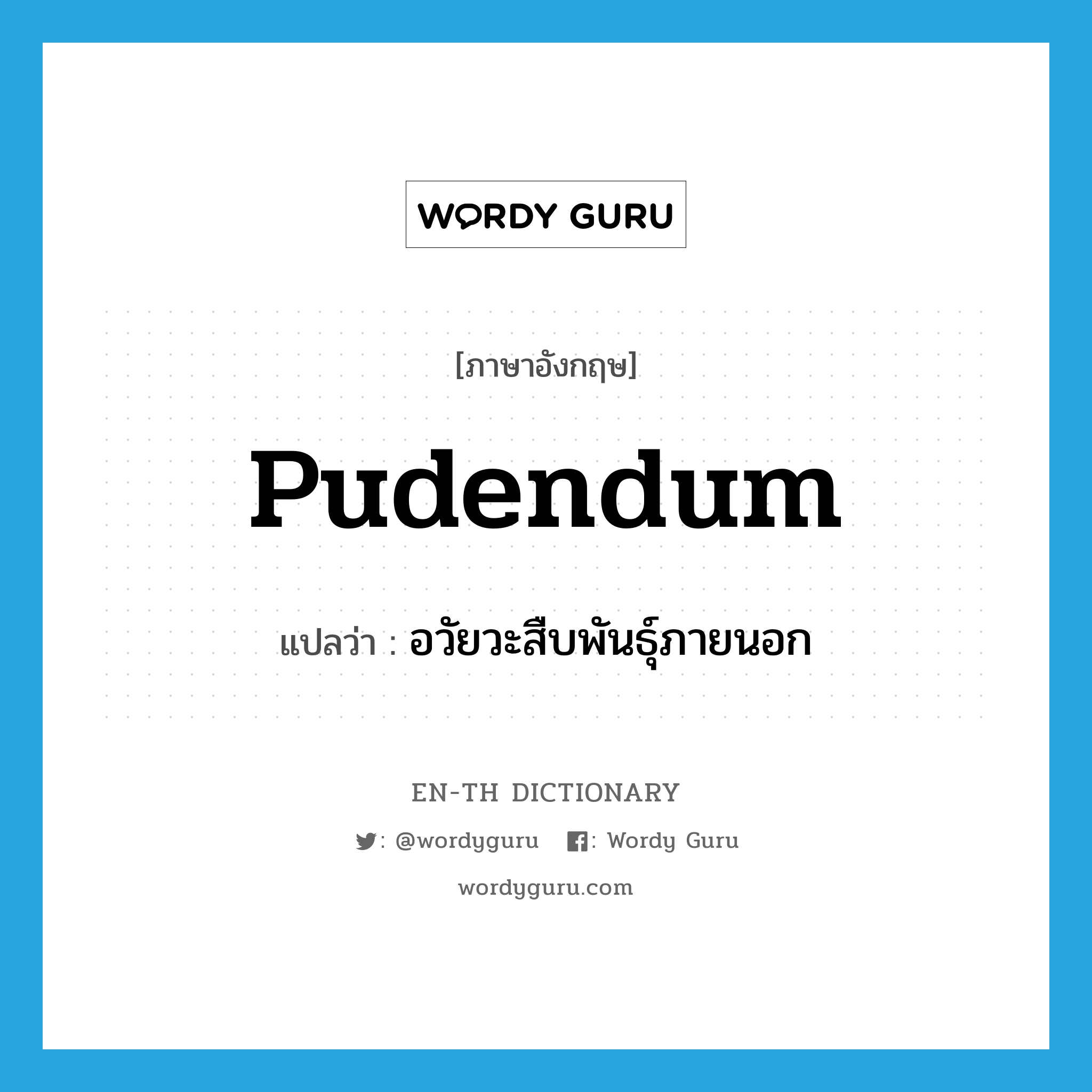 อวัยวะสืบพันธุ์ภายนอก ภาษาอังกฤษ?, คำศัพท์ภาษาอังกฤษ อวัยวะสืบพันธุ์ภายนอก แปลว่า pudendum ประเภท N หมวด N