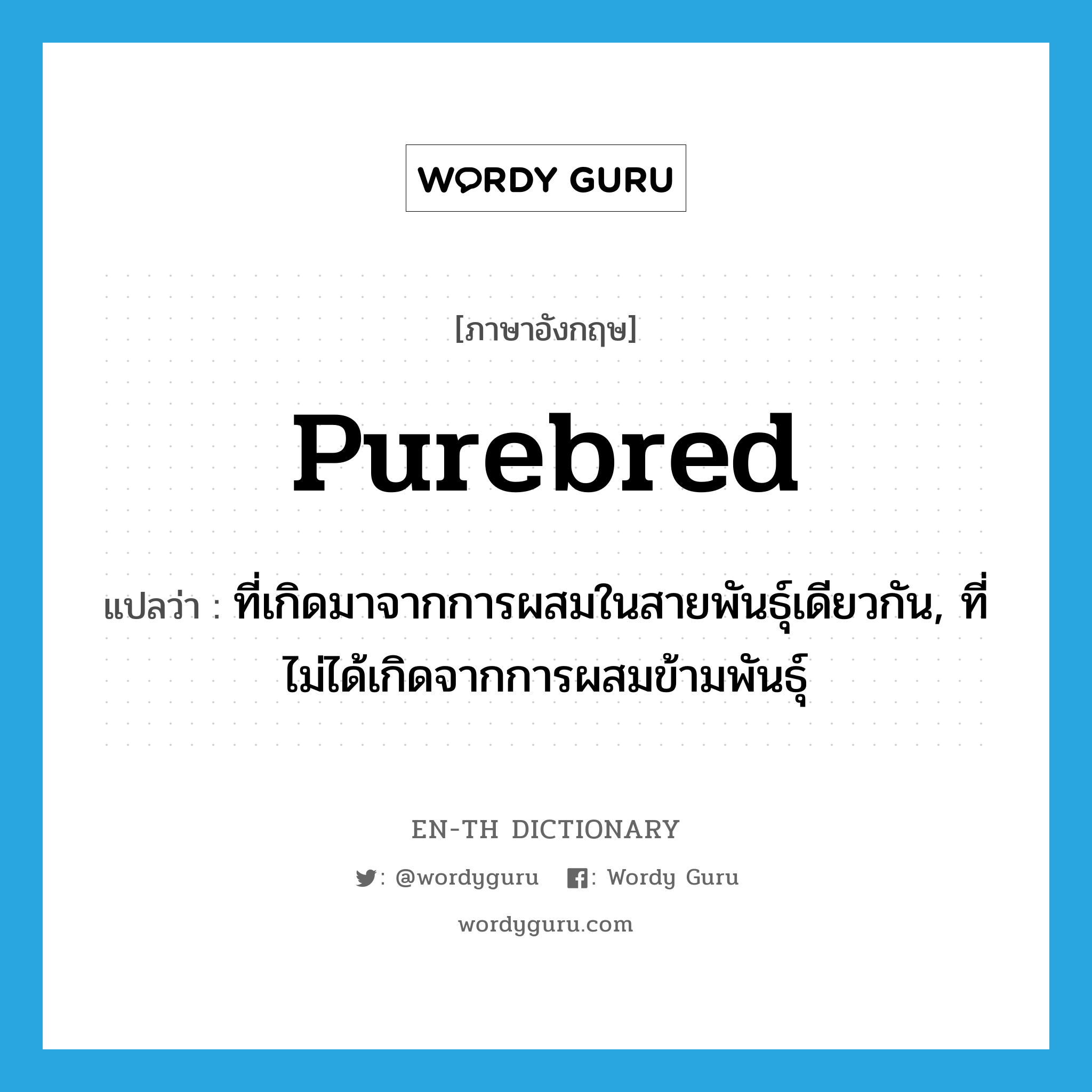 purebred แปลว่า?, คำศัพท์ภาษาอังกฤษ purebred แปลว่า ที่เกิดมาจากการผสมในสายพันธุ์เดียวกัน, ที่ไม่ได้เกิดจากการผสมข้ามพันธุ์ ประเภท ADJ หมวด ADJ