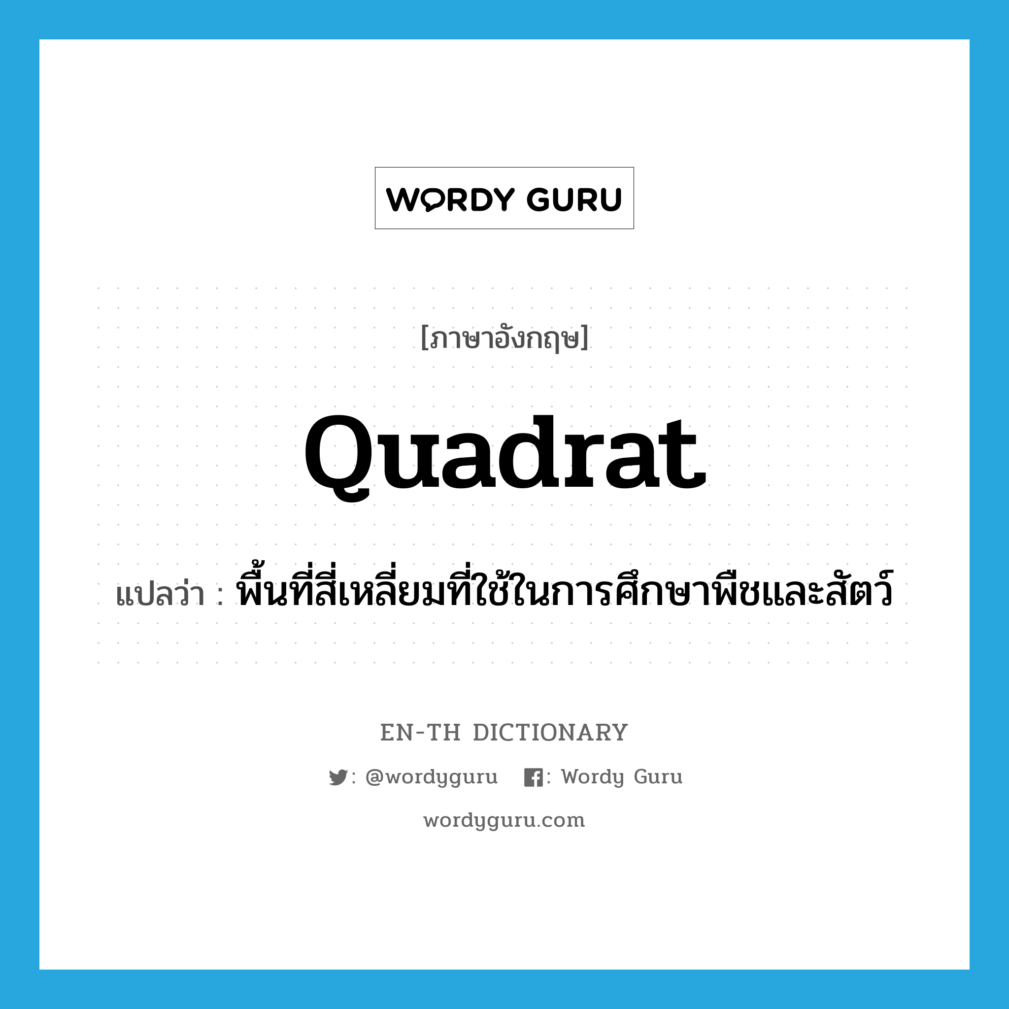 quadrat แปลว่า?, คำศัพท์ภาษาอังกฤษ quadrat แปลว่า พื้นที่สี่เหลี่ยมที่ใช้ในการศึกษาพืชและสัตว์ ประเภท N หมวด N