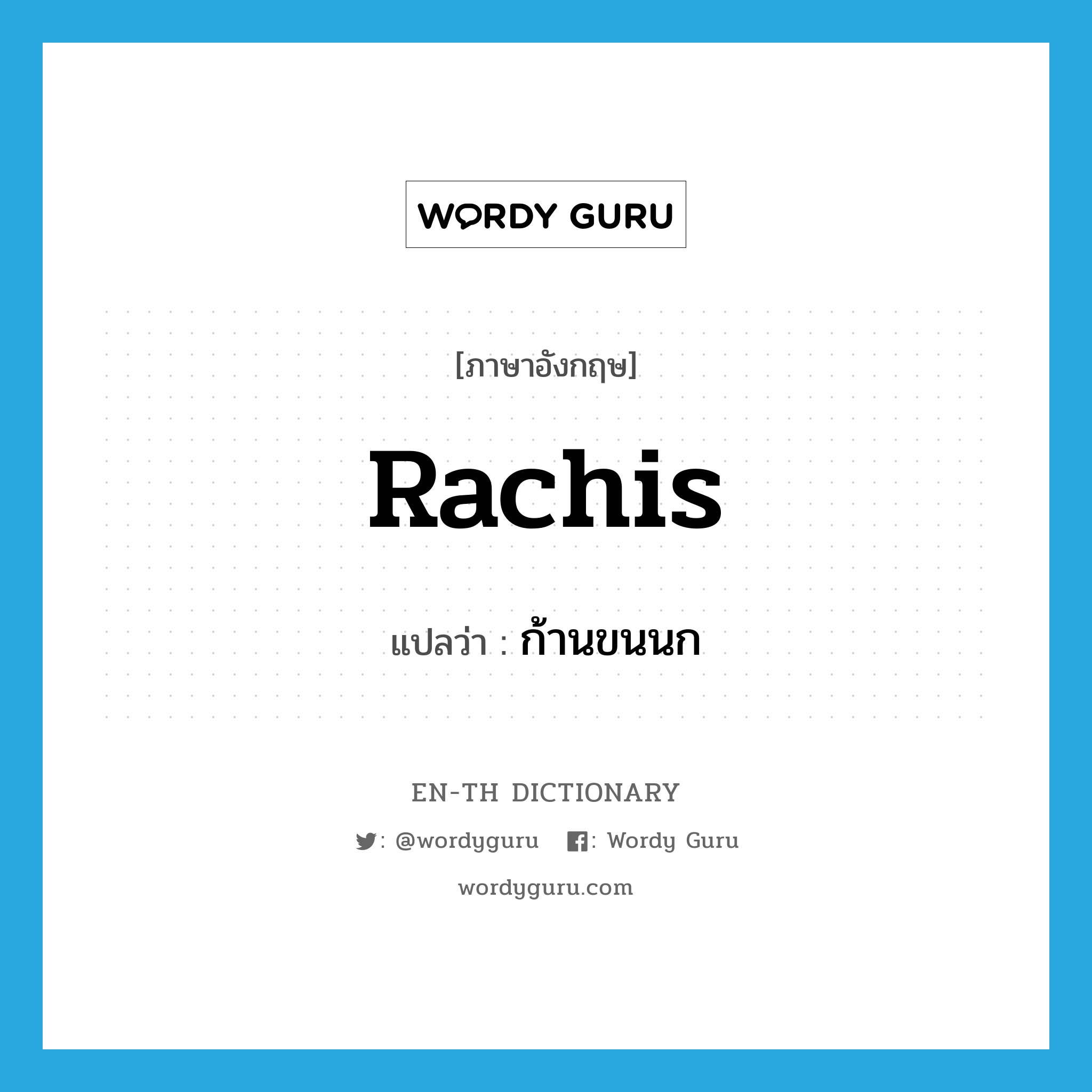 rachis แปลว่า?, คำศัพท์ภาษาอังกฤษ rachis แปลว่า ก้านขนนก ประเภท N หมวด N