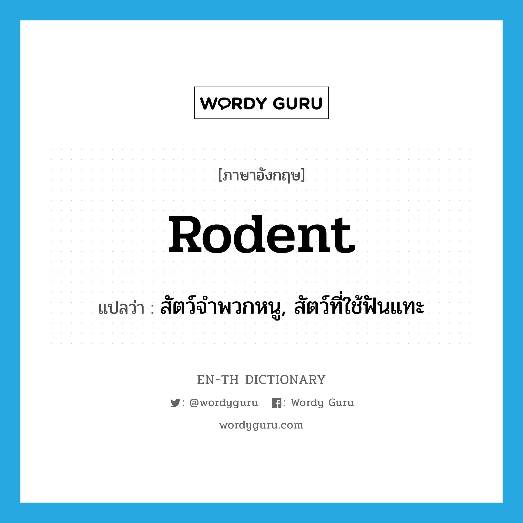 rodent แปลว่า?, คำศัพท์ภาษาอังกฤษ rodent แปลว่า สัตว์จำพวกหนู, สัตว์ที่ใช้ฟันแทะ ประเภท N หมวด N