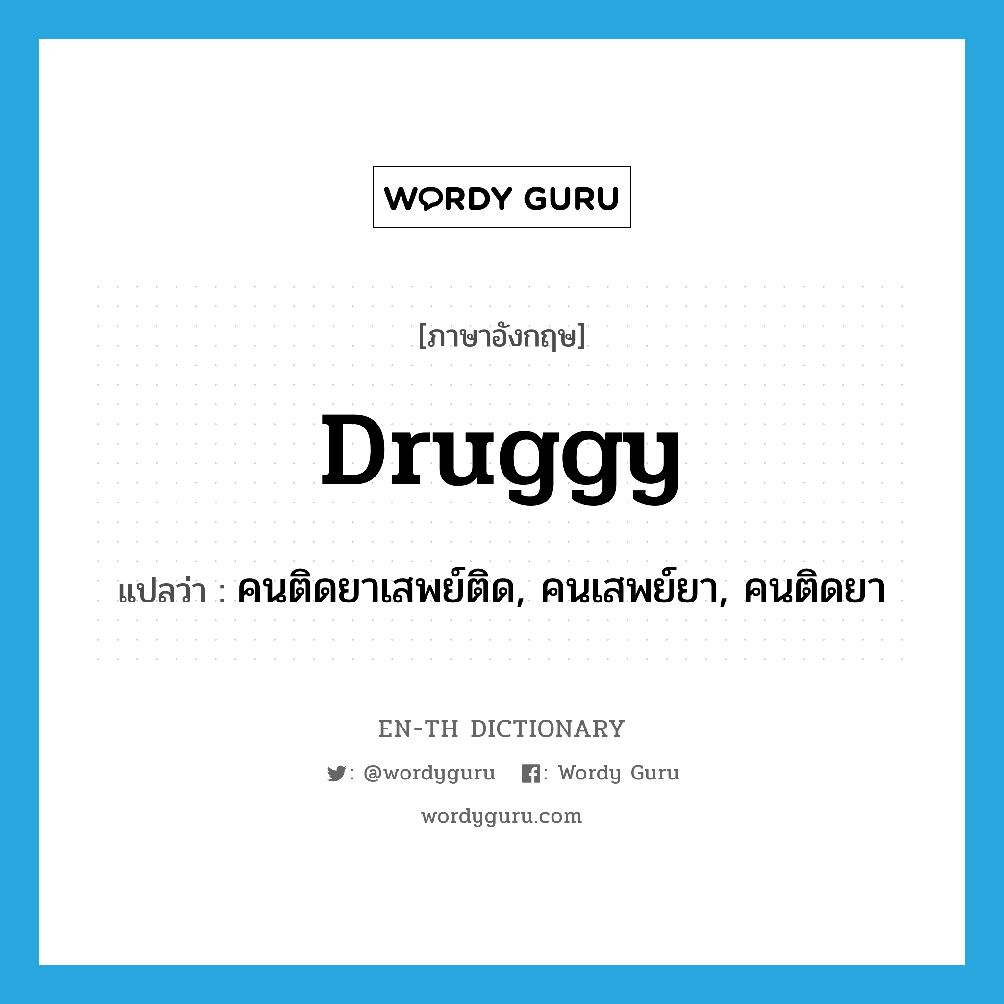 druggy แปลว่า?, คำศัพท์ภาษาอังกฤษ druggy แปลว่า คนติดยาเสพย์ติด, คนเสพย์ยา, คนติดยา ประเภท SL หมวด SL