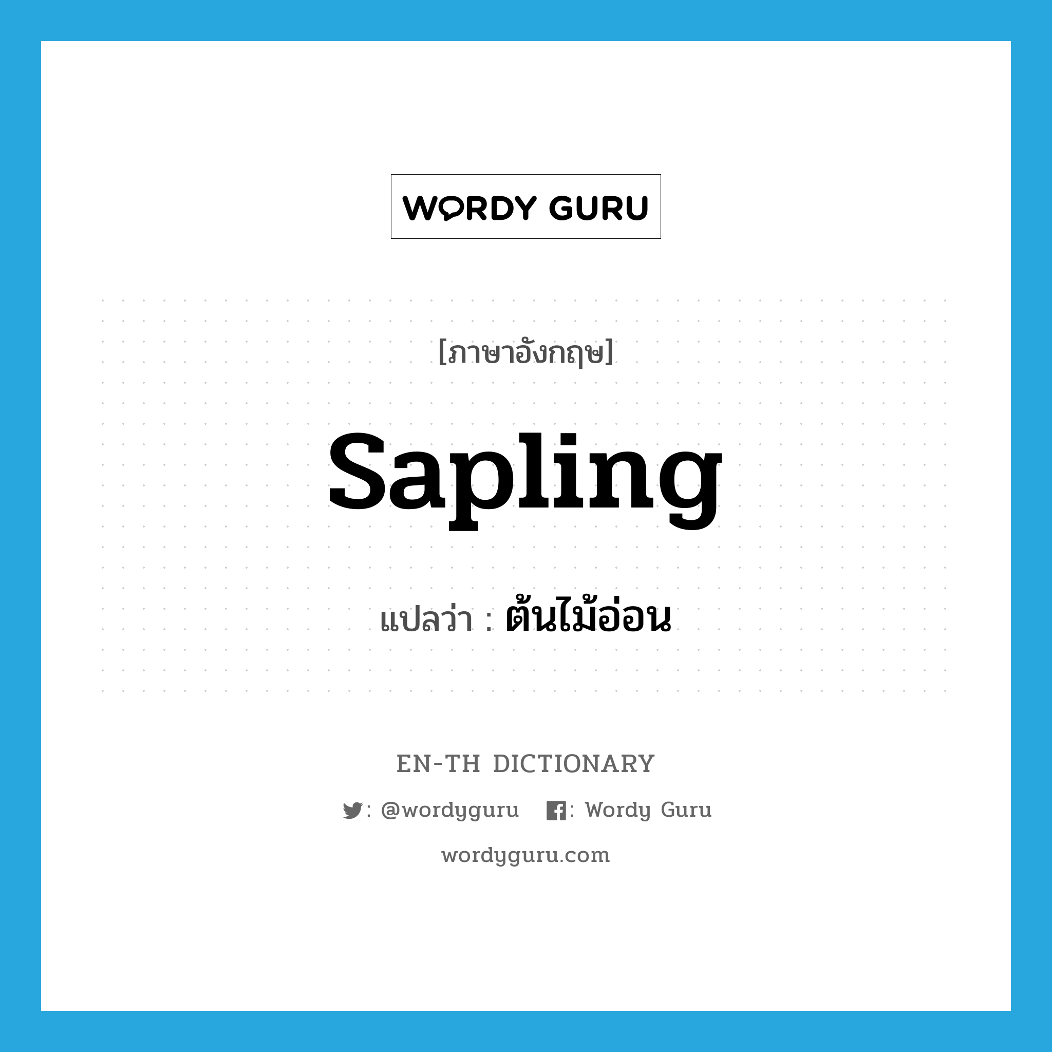 sapling แปลว่า?, คำศัพท์ภาษาอังกฤษ sapling แปลว่า ต้นไม้อ่อน ประเภท N หมวด N