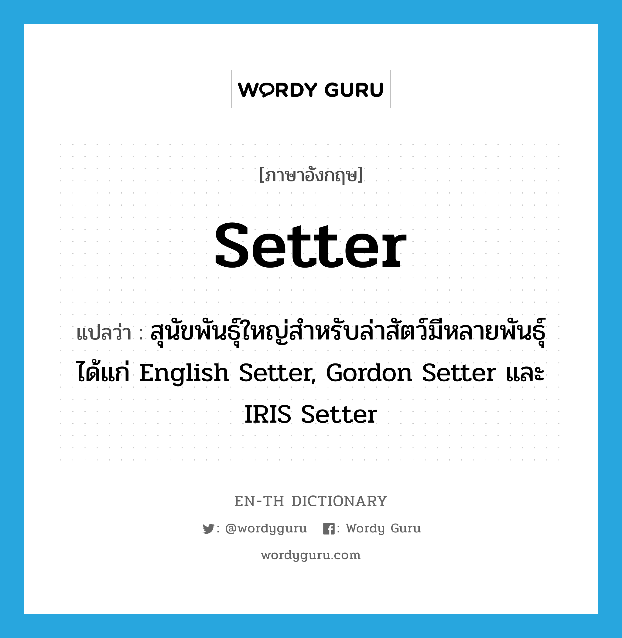 setter แปลว่า?, คำศัพท์ภาษาอังกฤษ setter แปลว่า สุนัขพันธุ์ใหญ่สำหรับล่าสัตว์มีหลายพันธุ์ได้แก่ English Setter, Gordon Setter และ IRIS Setter ประเภท N หมวด N