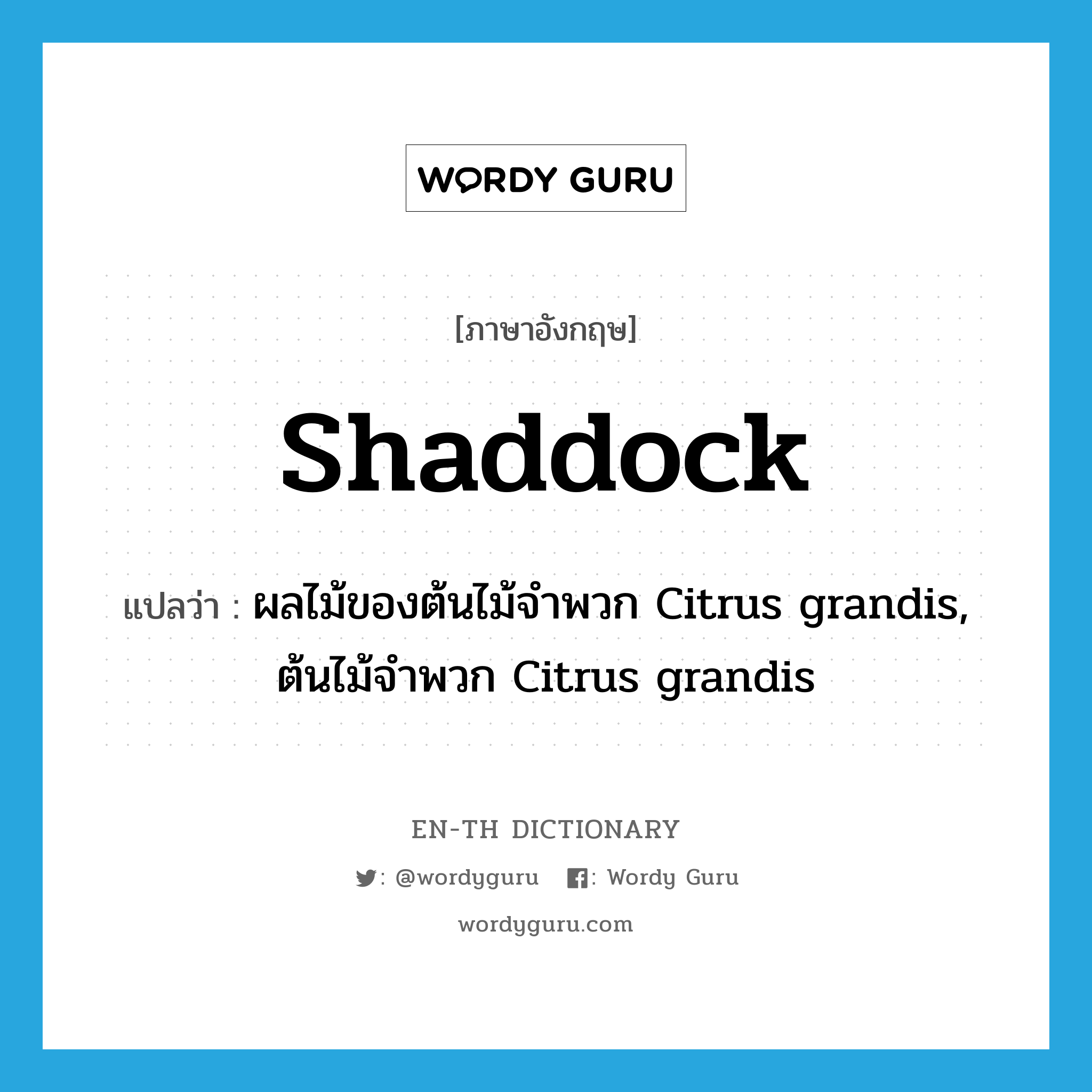 shaddock แปลว่า?, คำศัพท์ภาษาอังกฤษ shaddock แปลว่า ผลไม้ของต้นไม้จำพวก Citrus grandis, ต้นไม้จำพวก Citrus grandis ประเภท N หมวด N