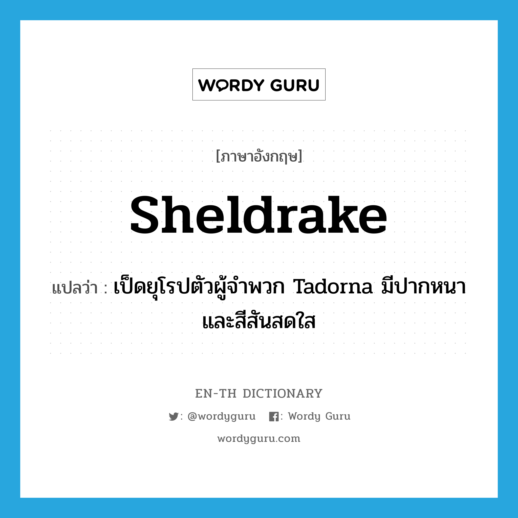 sheldrake แปลว่า?, คำศัพท์ภาษาอังกฤษ sheldrake แปลว่า เป็ดยุโรปตัวผู้จำพวก Tadorna มีปากหนาและสีสันสดใส ประเภท N หมวด N