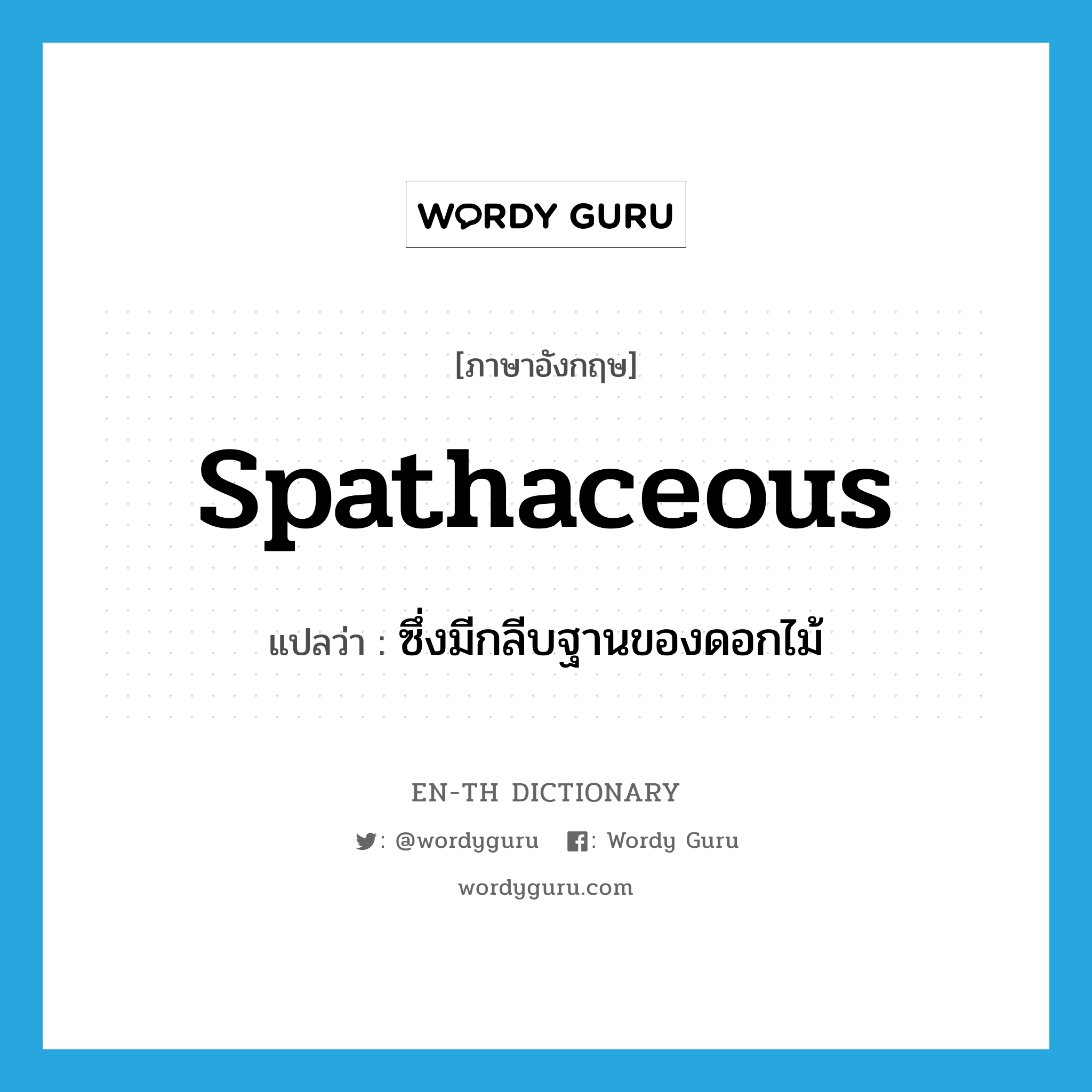 spathaceous แปลว่า?, คำศัพท์ภาษาอังกฤษ spathaceous แปลว่า ซึ่งมีกลีบฐานของดอกไม้ ประเภท ADJ หมวด ADJ