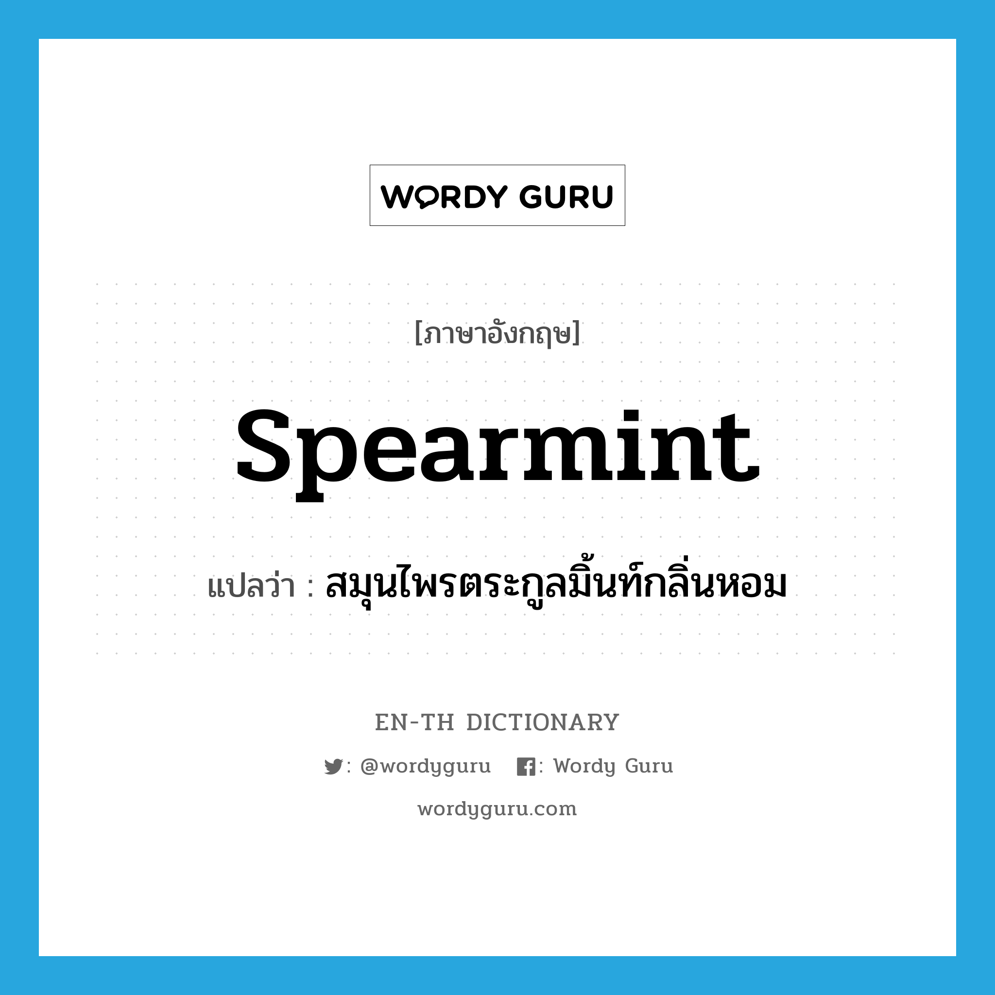 spearmint แปลว่า?, คำศัพท์ภาษาอังกฤษ spearmint แปลว่า สมุนไพรตระกูลมิ้นท์กลิ่นหอม ประเภท N หมวด N