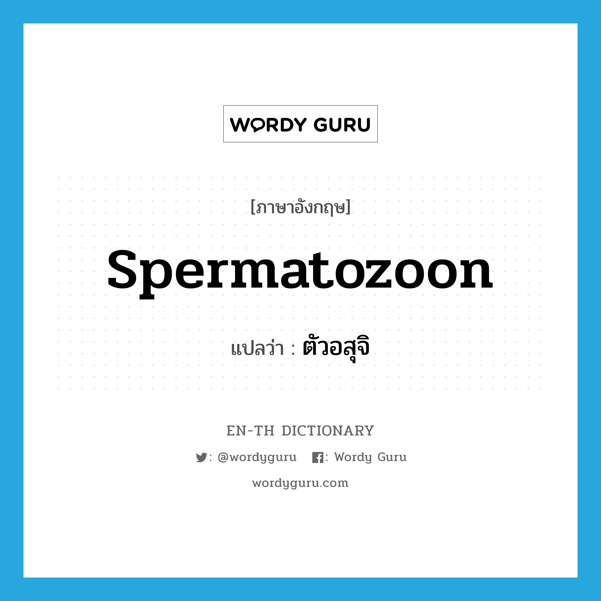 spermatozoon แปลว่า?, คำศัพท์ภาษาอังกฤษ spermatozoon แปลว่า ตัวอสุจิ ประเภท N หมวด N