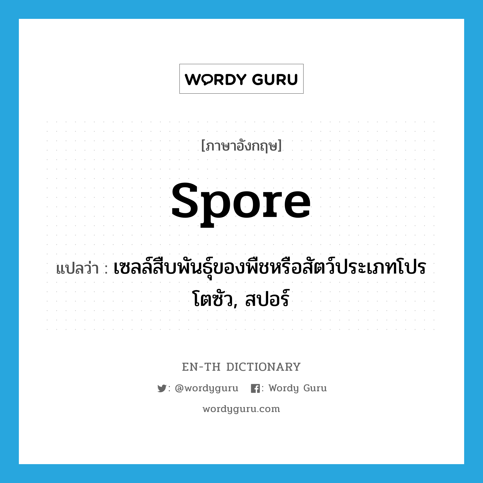 spore แปลว่า?, คำศัพท์ภาษาอังกฤษ spore แปลว่า เซลล์สืบพันธุ์ของพืชหรือสัตว์ประเภทโปรโตซัว, สปอร์ ประเภท N หมวด N