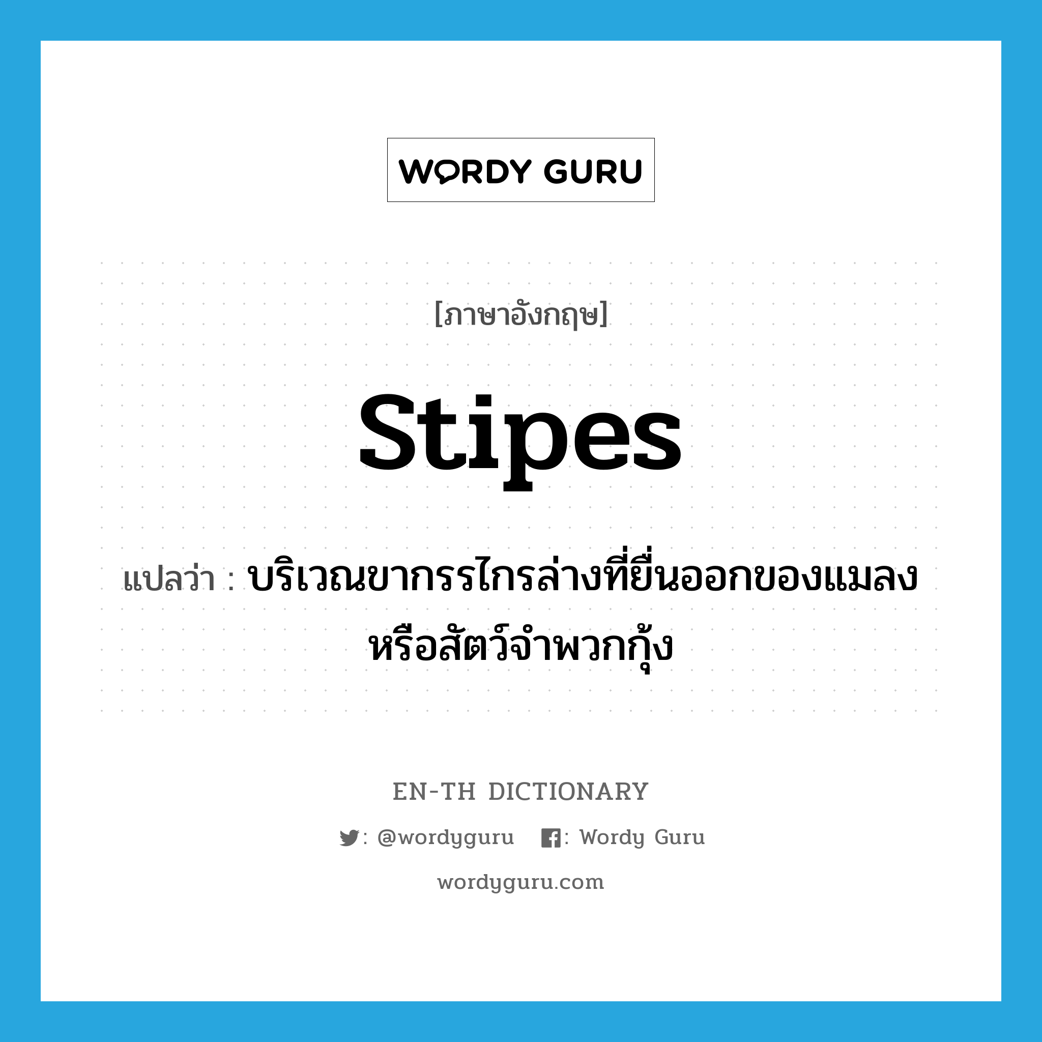 stipes แปลว่า?, คำศัพท์ภาษาอังกฤษ stipes แปลว่า บริเวณขากรรไกรล่างที่ยื่นออกของแมลงหรือสัตว์จำพวกกุ้ง ประเภท N หมวด N