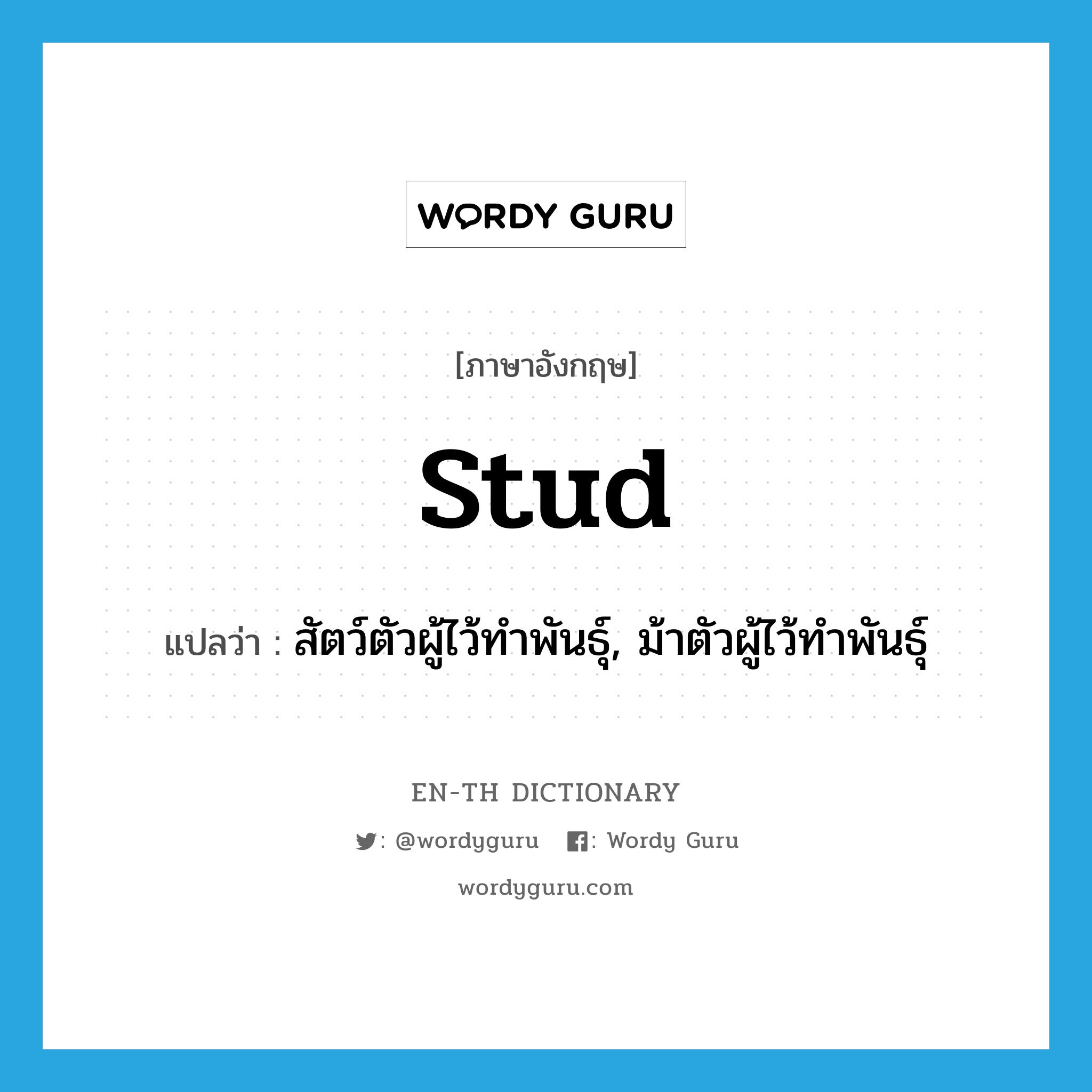 stud แปลว่า?, คำศัพท์ภาษาอังกฤษ stud แปลว่า สัตว์ตัวผู้ไว้ทำพันธุ์, ม้าตัวผู้ไว้ทำพันธุ์ ประเภท N หมวด N