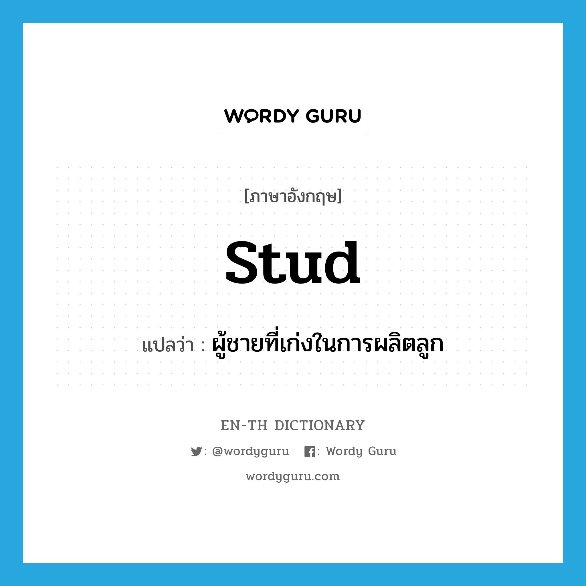 stud แปลว่า?, คำศัพท์ภาษาอังกฤษ stud แปลว่า ผู้ชายที่เก่งในการผลิตลูก ประเภท N หมวด N