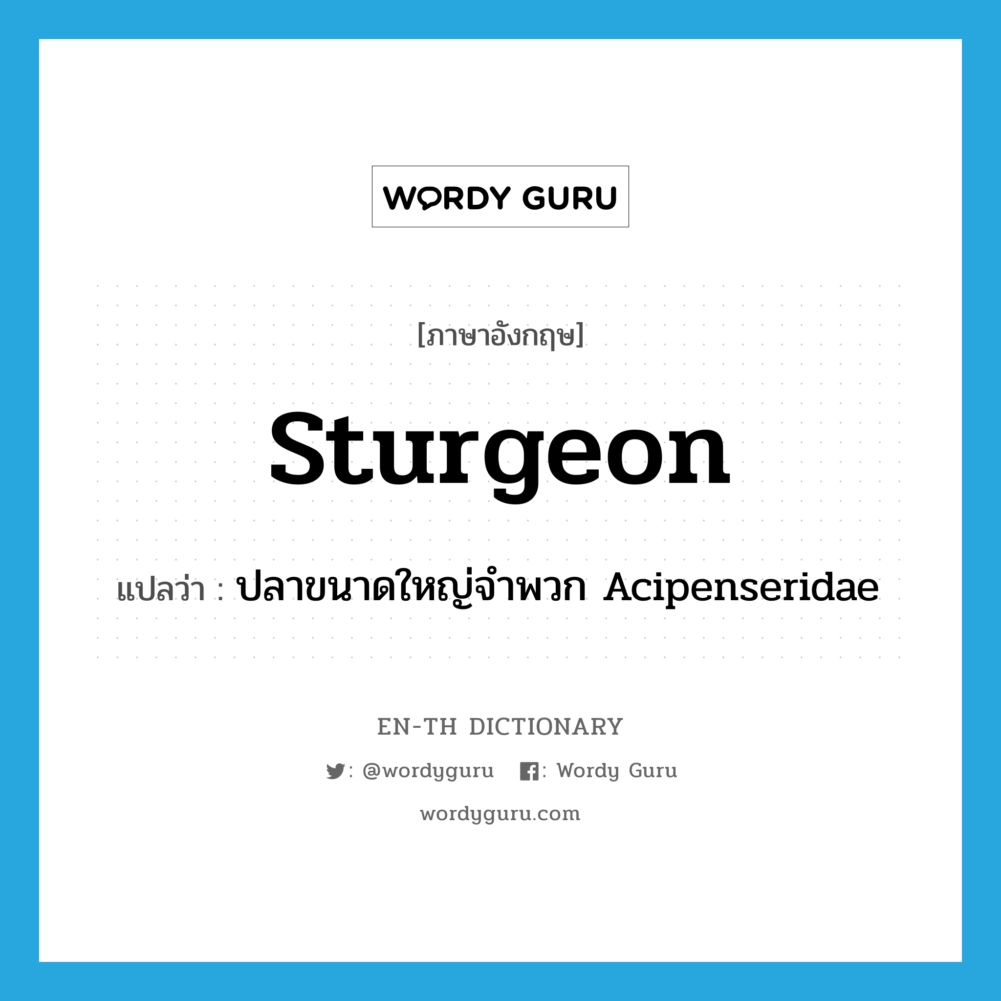 sturgeon แปลว่า?, คำศัพท์ภาษาอังกฤษ sturgeon แปลว่า ปลาขนาดใหญ่จำพวก Acipenseridae ประเภท N หมวด N