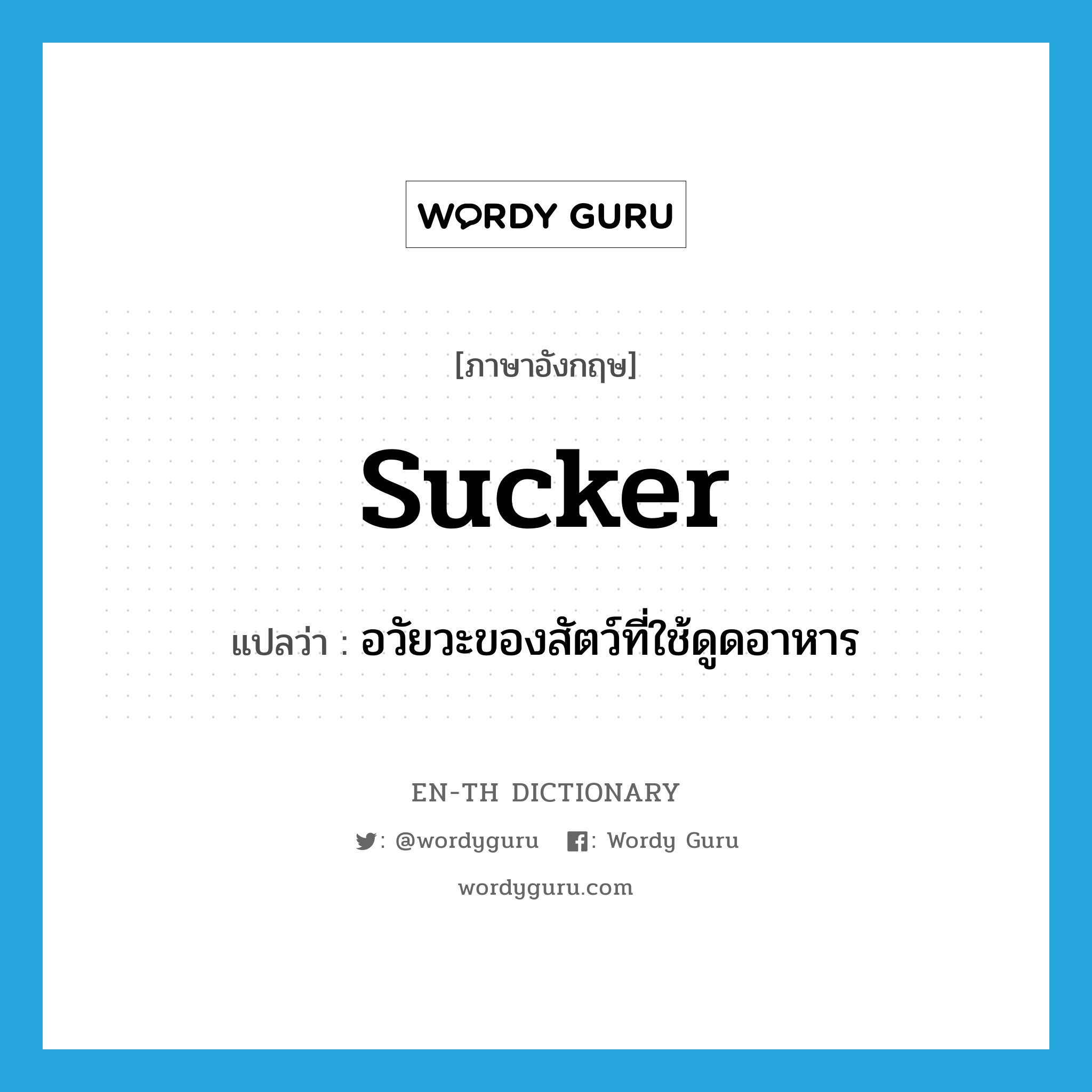 sucker แปลว่า?, คำศัพท์ภาษาอังกฤษ sucker แปลว่า อวัยวะของสัตว์ที่ใช้ดูดอาหาร ประเภท N หมวด N