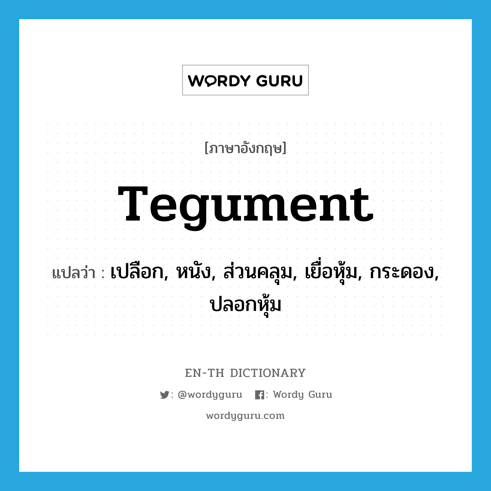 tegument แปลว่า?, คำศัพท์ภาษาอังกฤษ tegument แปลว่า เปลือก, หนัง, ส่วนคลุม, เยื่อหุ้ม, กระดอง, ปลอกหุ้ม ประเภท N หมวด N