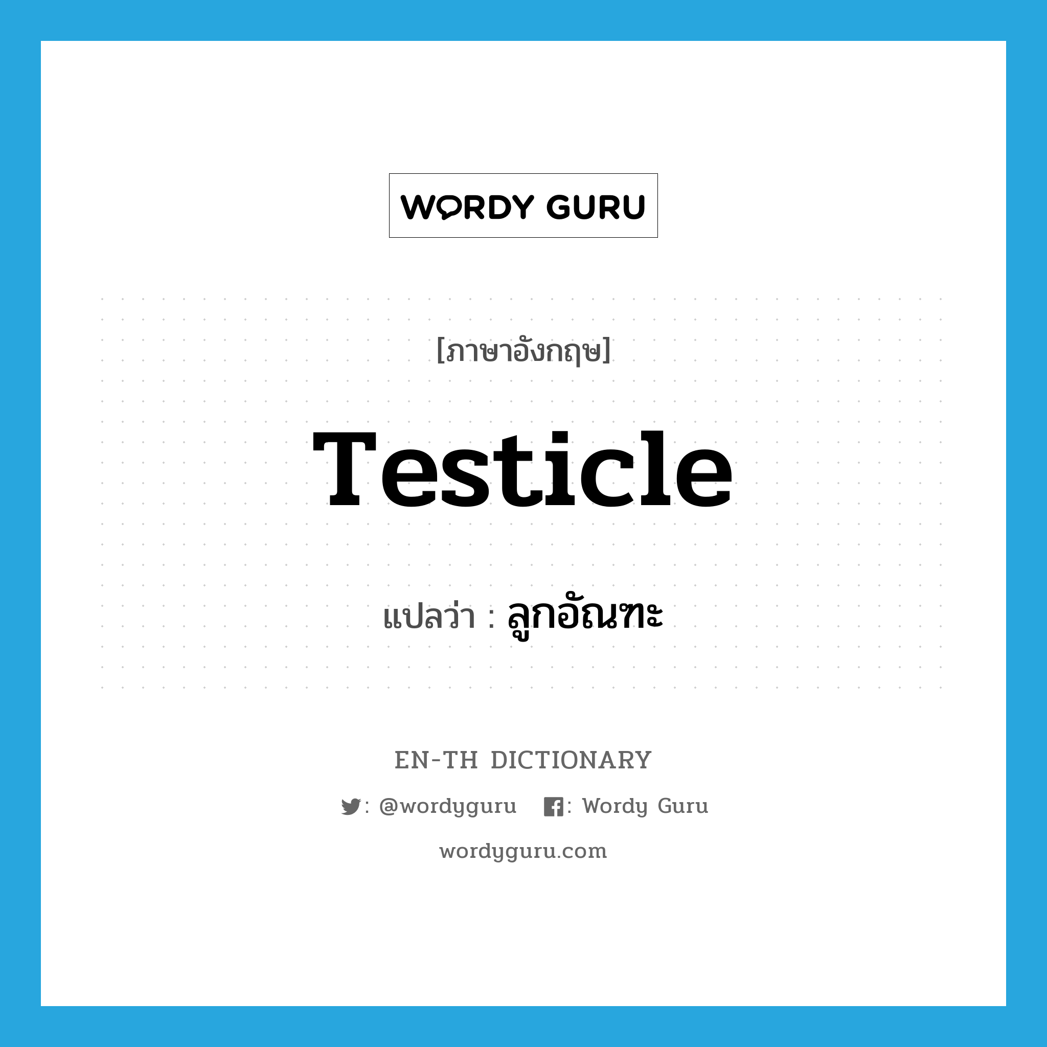 ลูกอัณฑะ ภาษาอังกฤษ?, คำศัพท์ภาษาอังกฤษ ลูกอัณฑะ แปลว่า testicle ประเภท N หมวด N