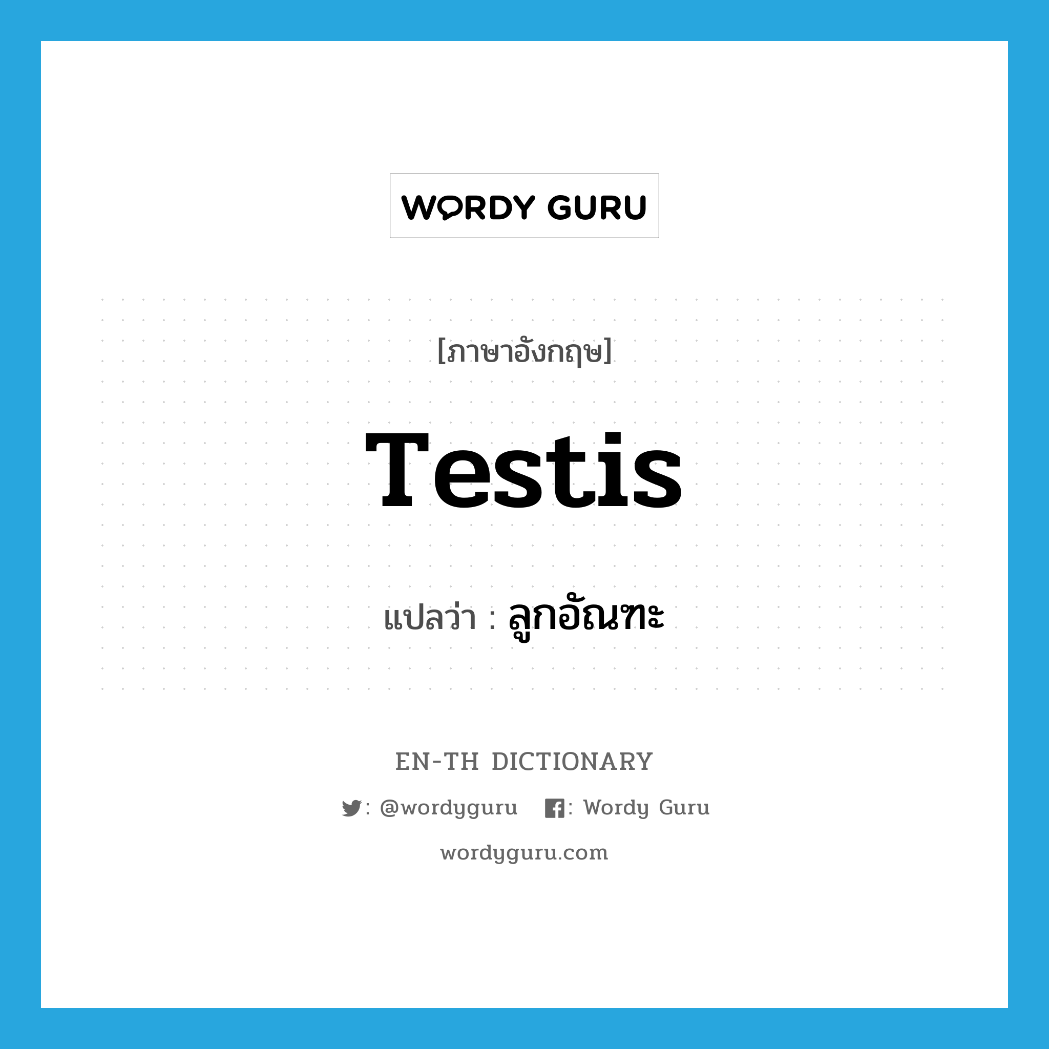 ลูกอัณฑะ ภาษาอังกฤษ?, คำศัพท์ภาษาอังกฤษ ลูกอัณฑะ แปลว่า testis ประเภท N หมวด N