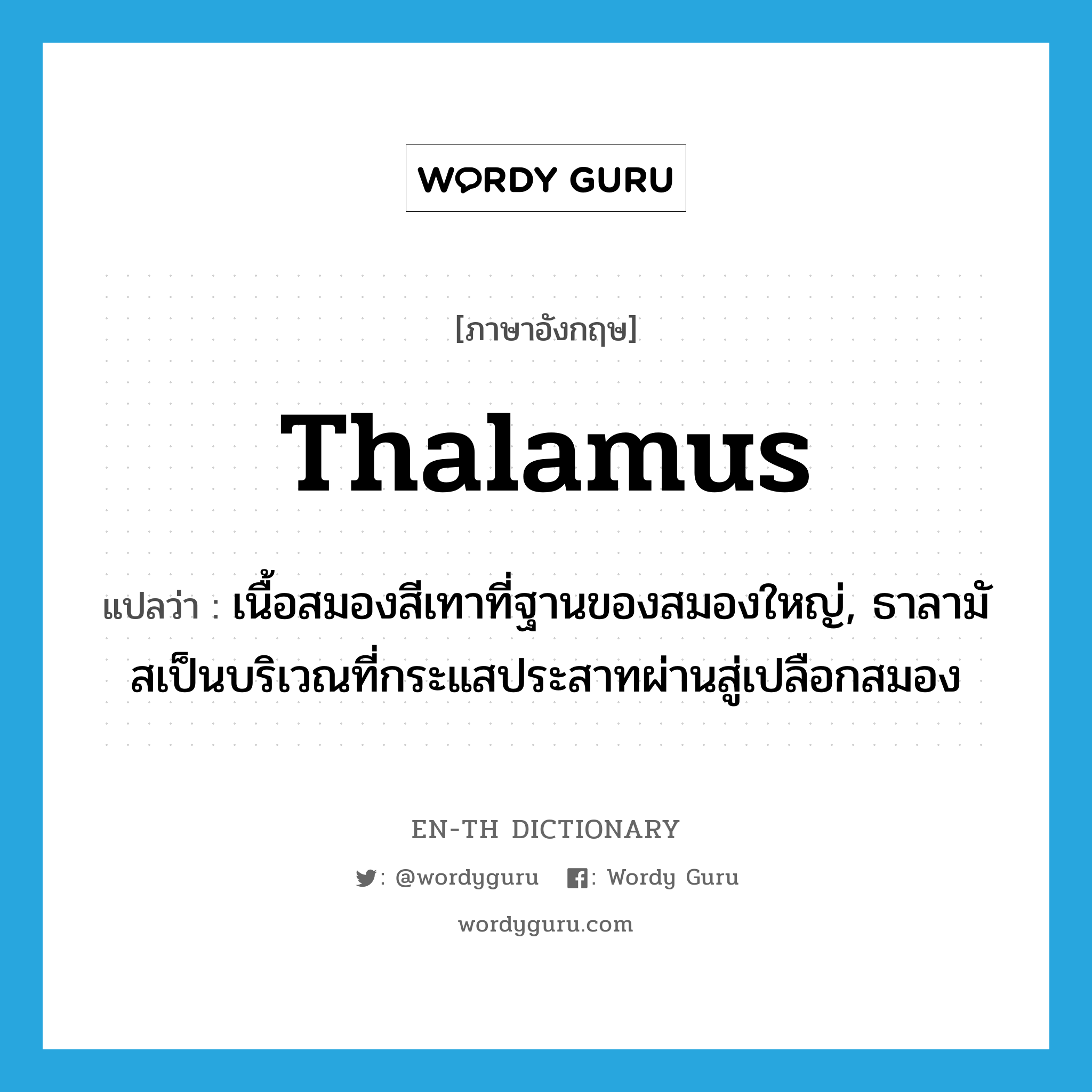 thalamus แปลว่า?, คำศัพท์ภาษาอังกฤษ thalamus แปลว่า เนื้อสมองสีเทาที่ฐานของสมองใหญ่, ธาลามัสเป็นบริเวณที่กระแสประสาทผ่านสู่เปลือกสมอง ประเภท N หมวด N