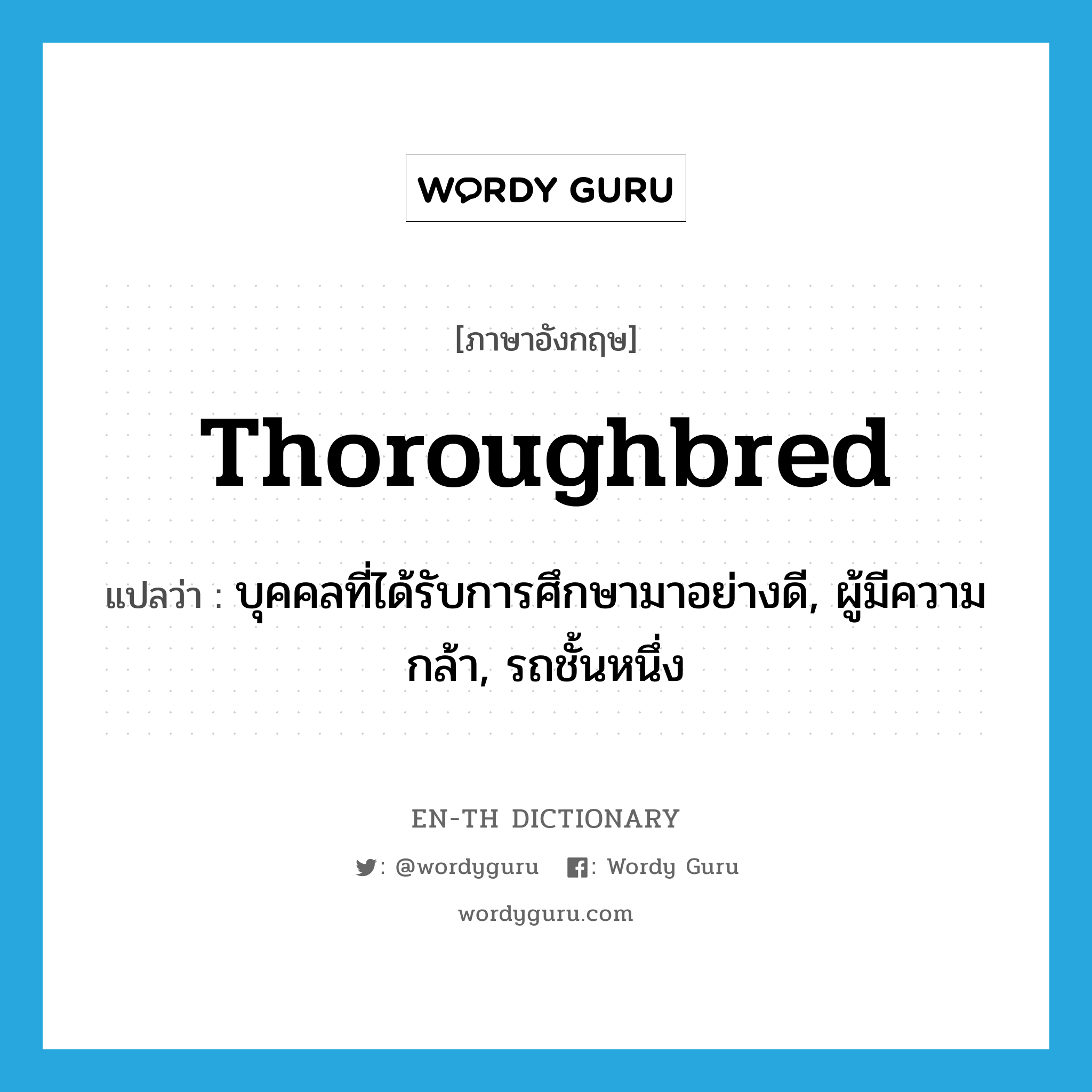 thoroughbred แปลว่า?, คำศัพท์ภาษาอังกฤษ thoroughbred แปลว่า บุคคลที่ได้รับการศึกษามาอย่างดี, ผู้มีความกล้า, รถชั้นหนึ่ง ประเภท N หมวด N