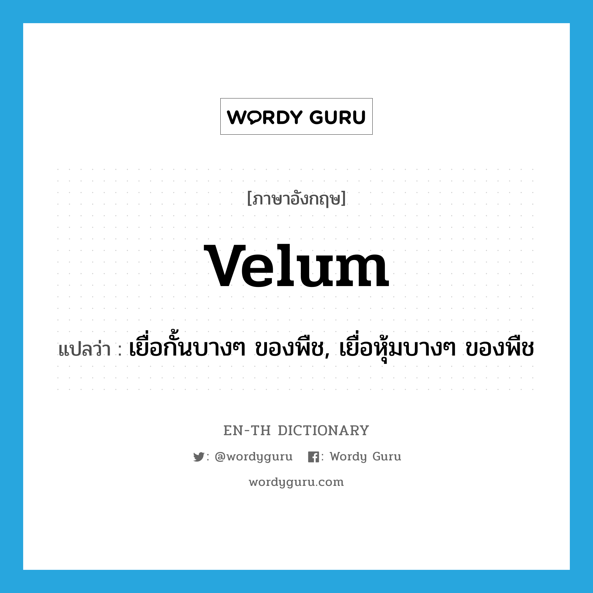 velum แปลว่า?, คำศัพท์ภาษาอังกฤษ velum แปลว่า เยื่อกั้นบางๆ ของพืช, เยื่อหุ้มบางๆ ของพืช ประเภท N หมวด N