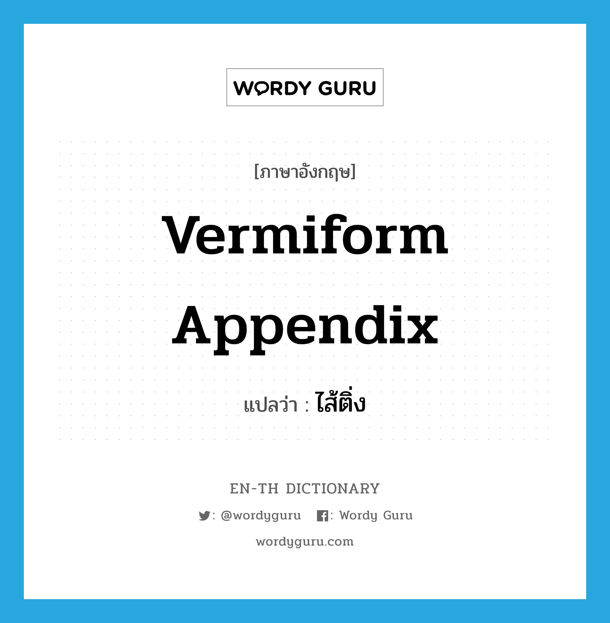 ไส้ติ่ง ภาษาอังกฤษ?, คำศัพท์ภาษาอังกฤษ ไส้ติ่ง แปลว่า vermiform appendix ประเภท N หมวด N